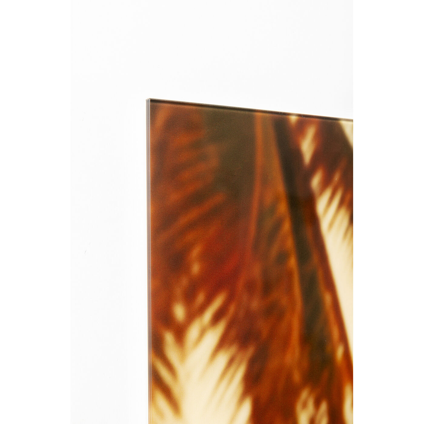 Картина стеклянная Holiday Monkey 80x60 см