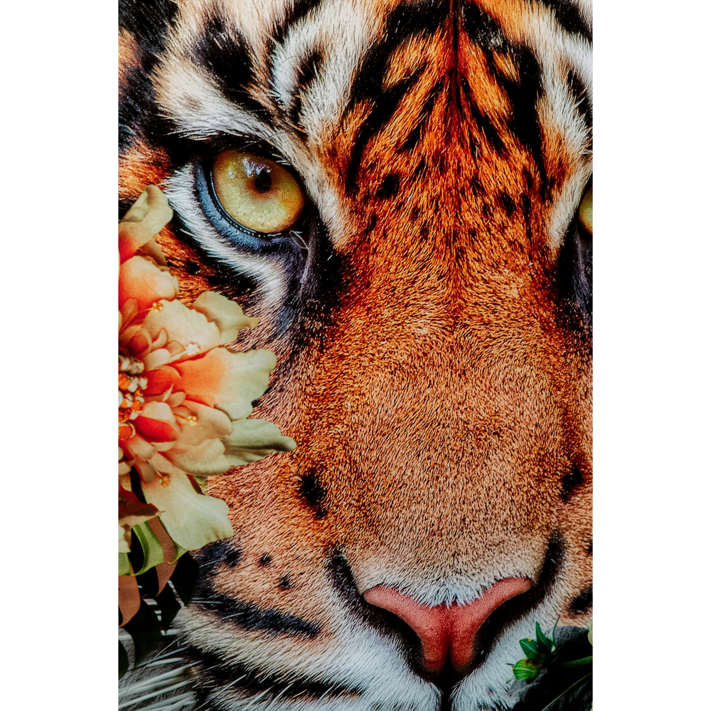 Картина стеклянная Tiger on Hunt 150x100 см