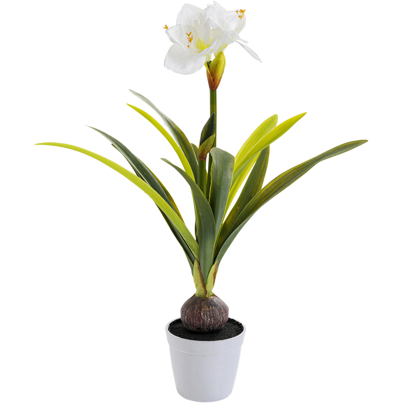 Декоративный элемент Amaryllis White 78