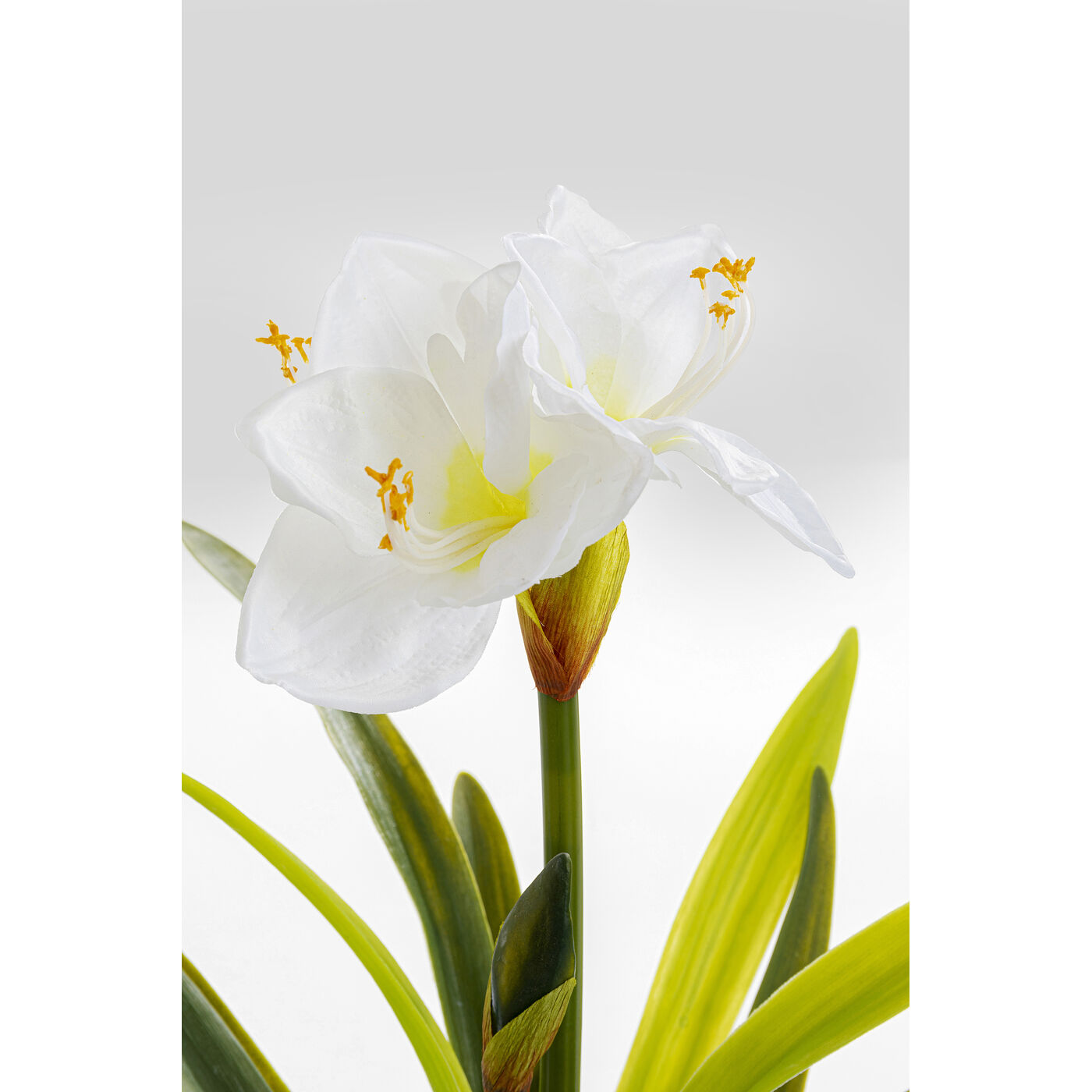 Декоративный элемент Amaryllis White 78
