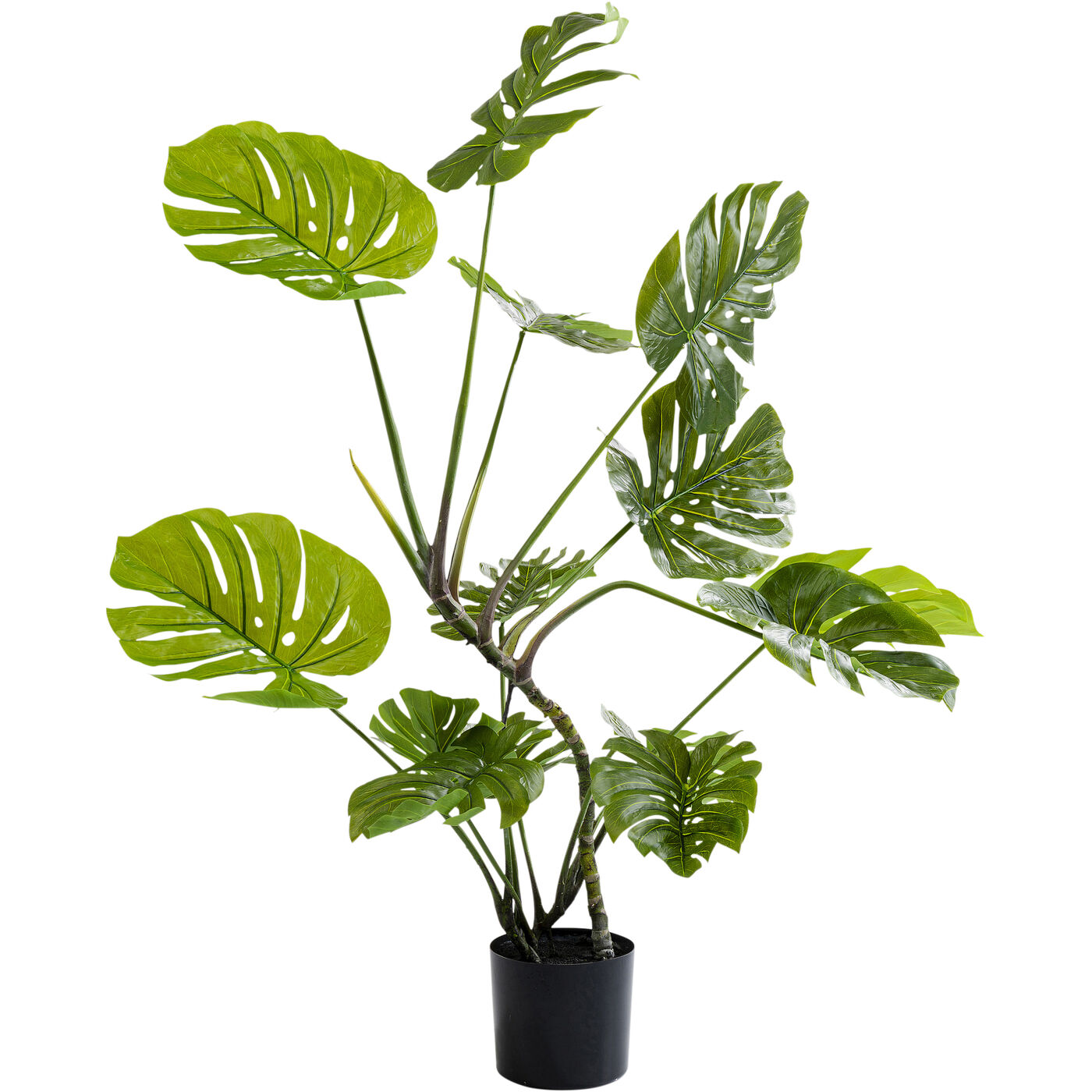 Растение декоративное Monstera 110 см