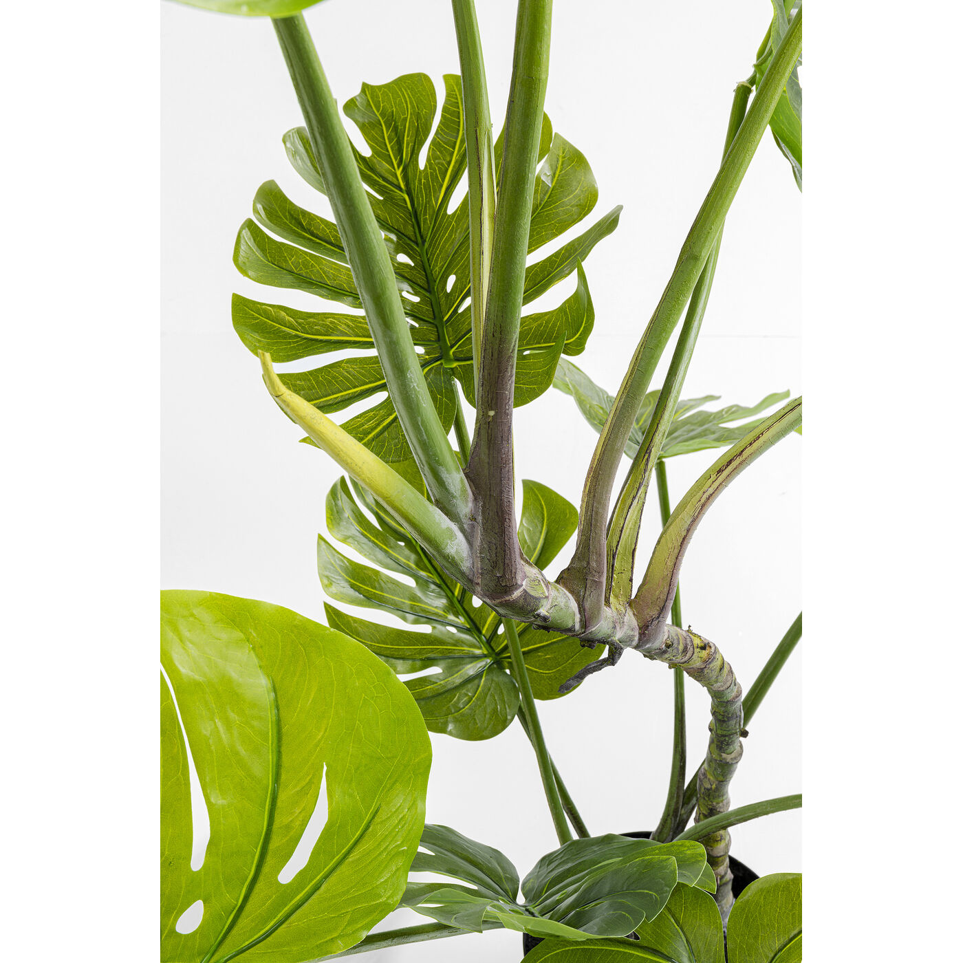 Растение декоративное Monstera 110 см