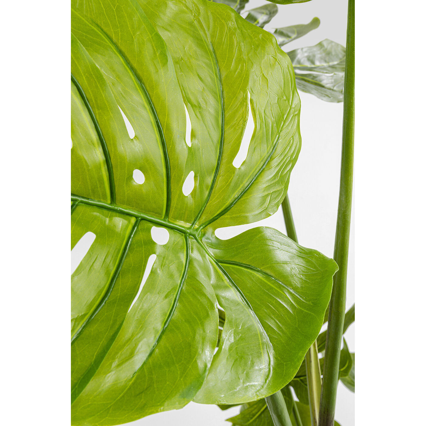 Растение декоративное Monstera 110 см