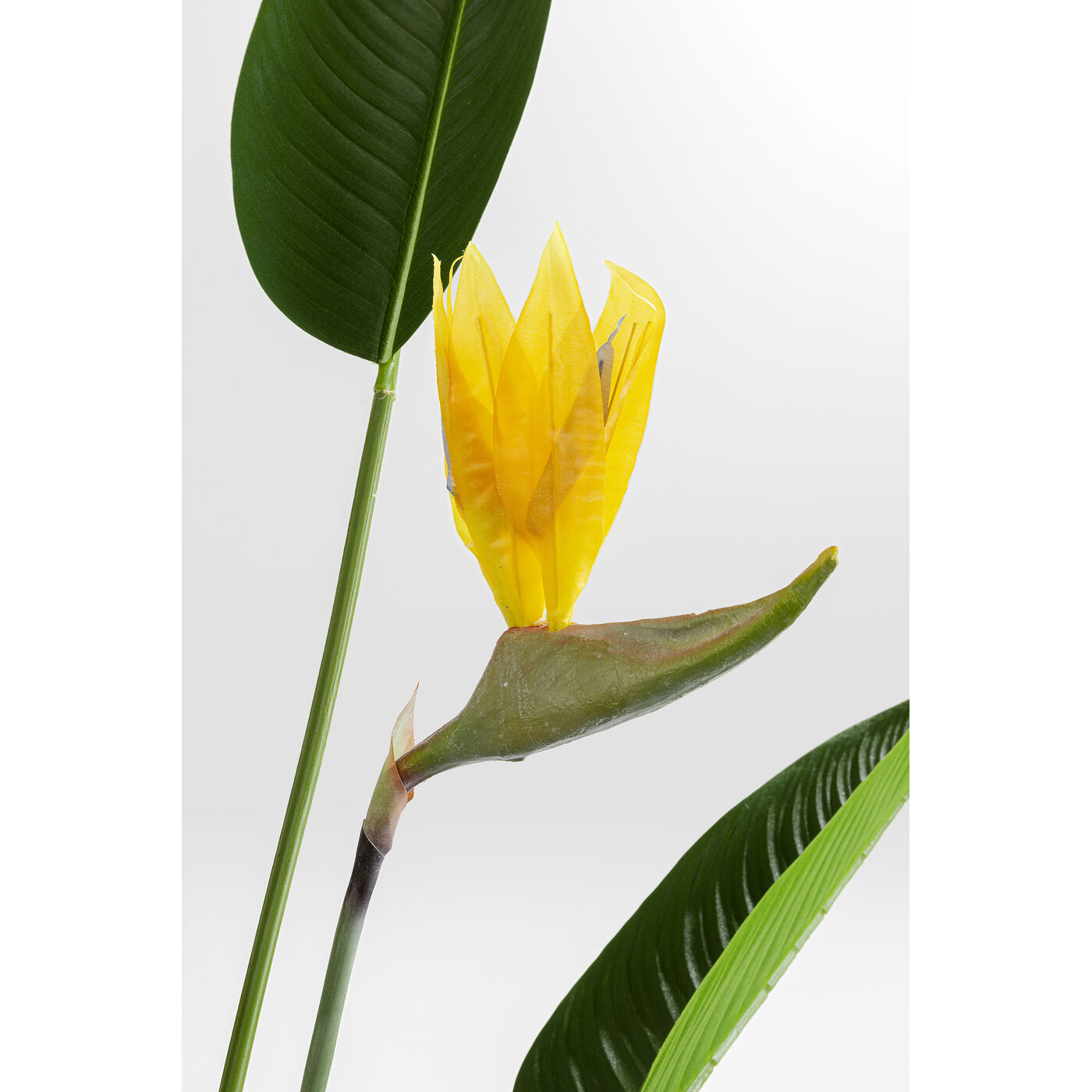Растение декоративное Paradise Flowers 190 см