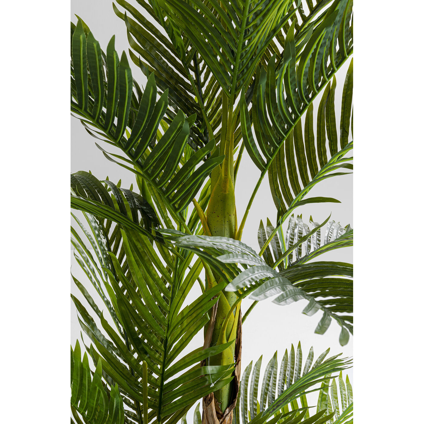 Растение декоративное Palm Tree 190 см