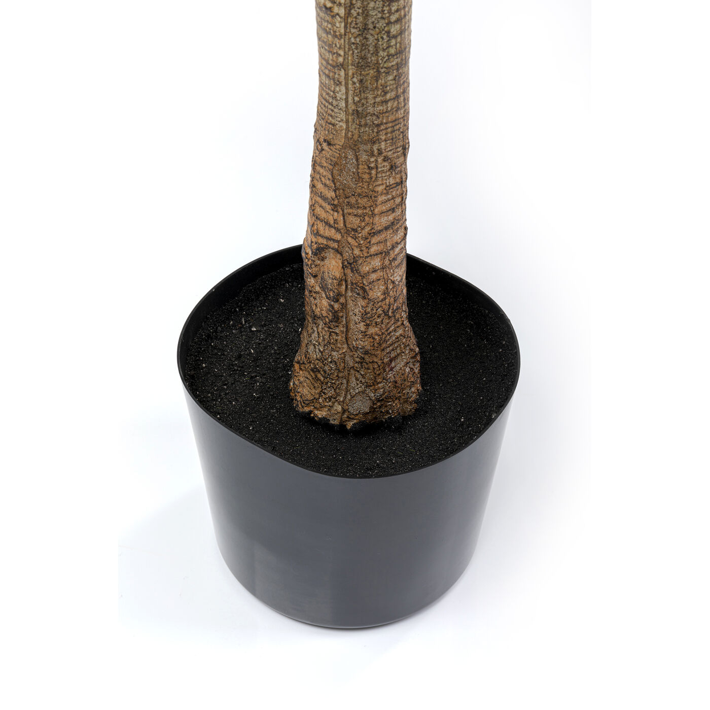 Растение декоративное Dracaena Fragrans 180 см