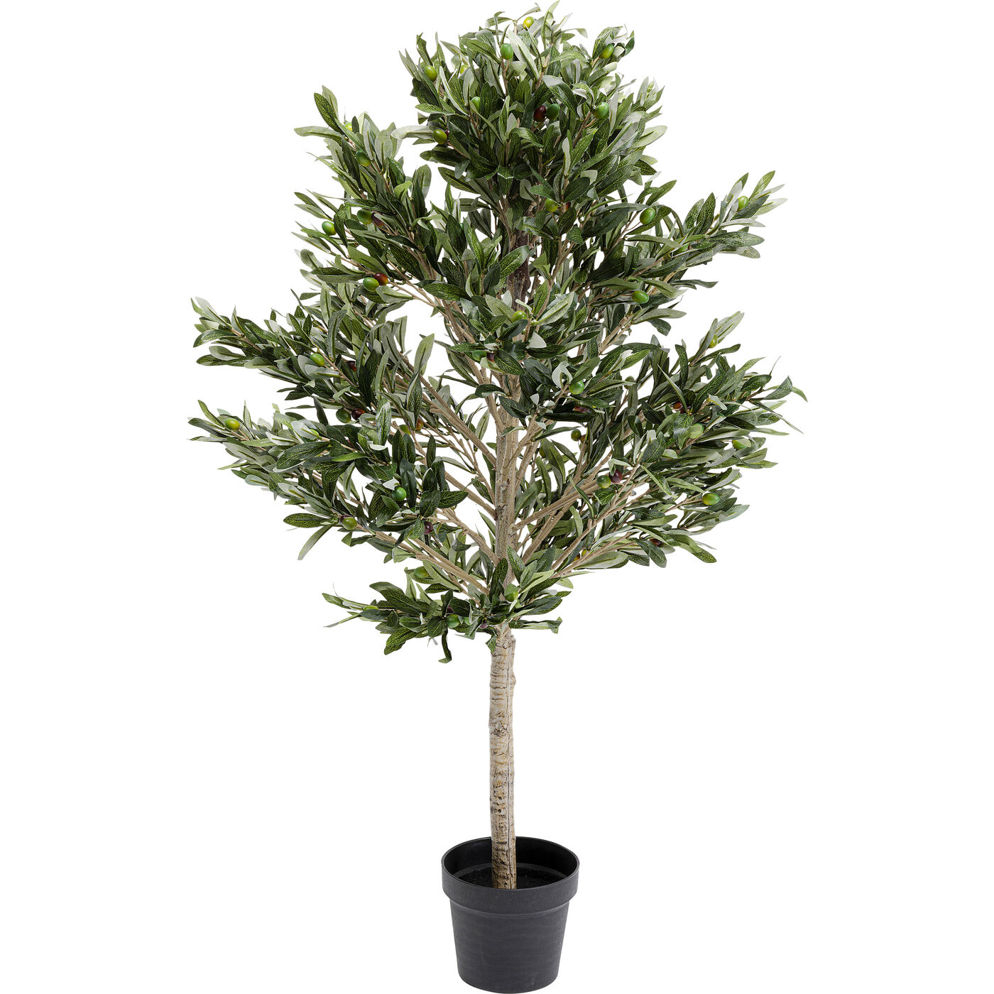 Растение декоративное Olive Tree 120 см