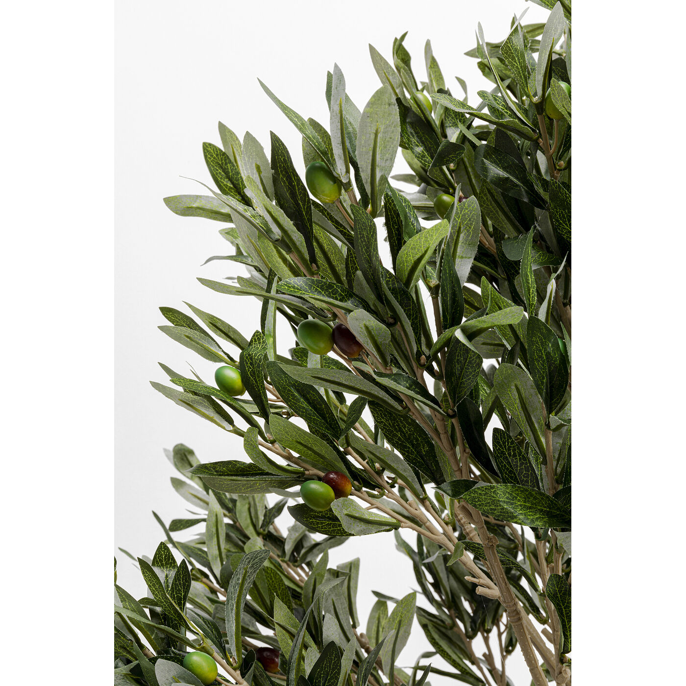 Растение декоративное Olive Tree 120 см