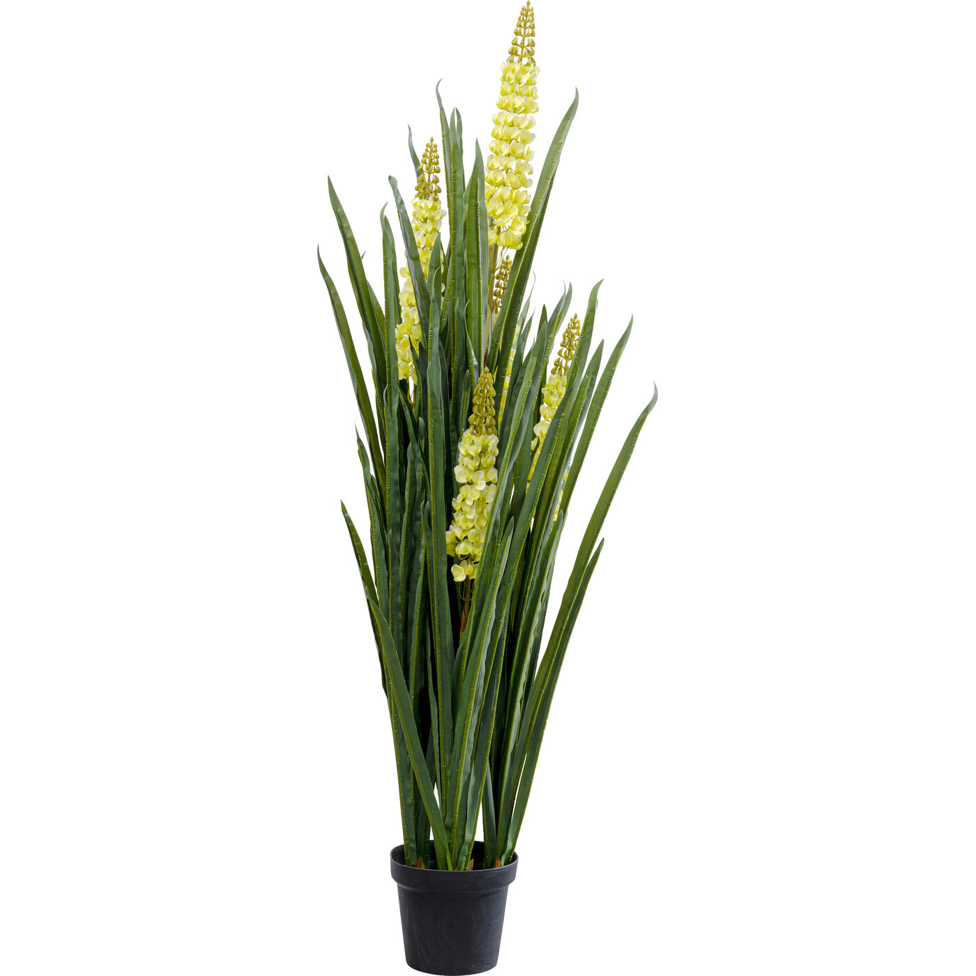 Растение декоративное Rhynchostylis 55 см