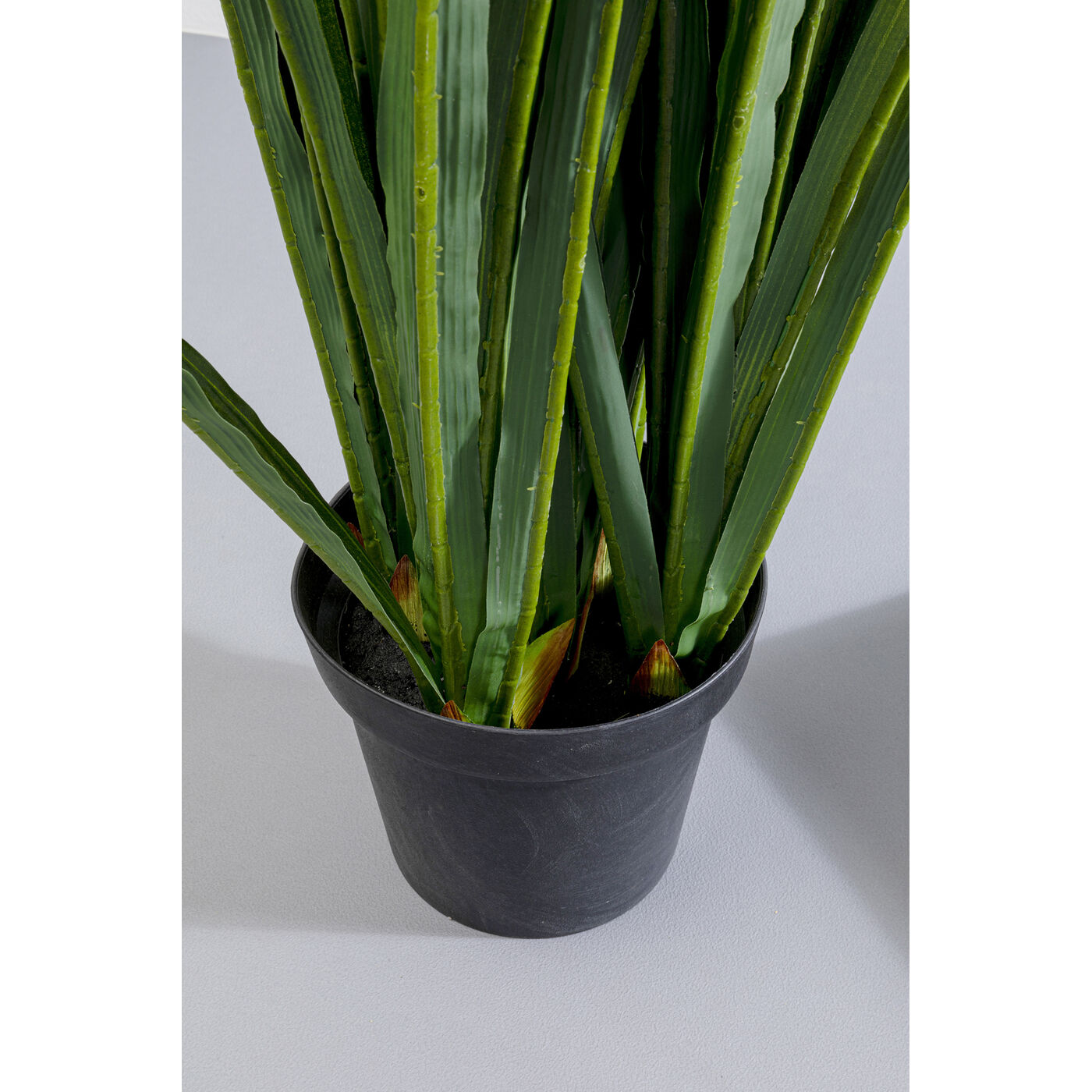 Растение декоративное Rhynchostylis 55 см
