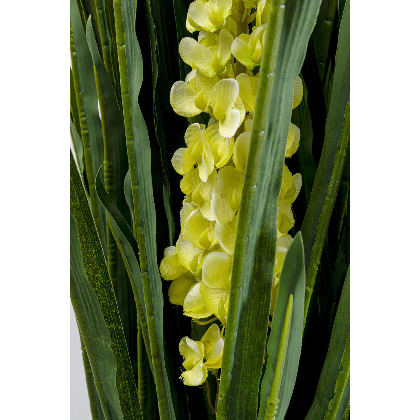 Растение декоративное Rhynchostylis 55 см
