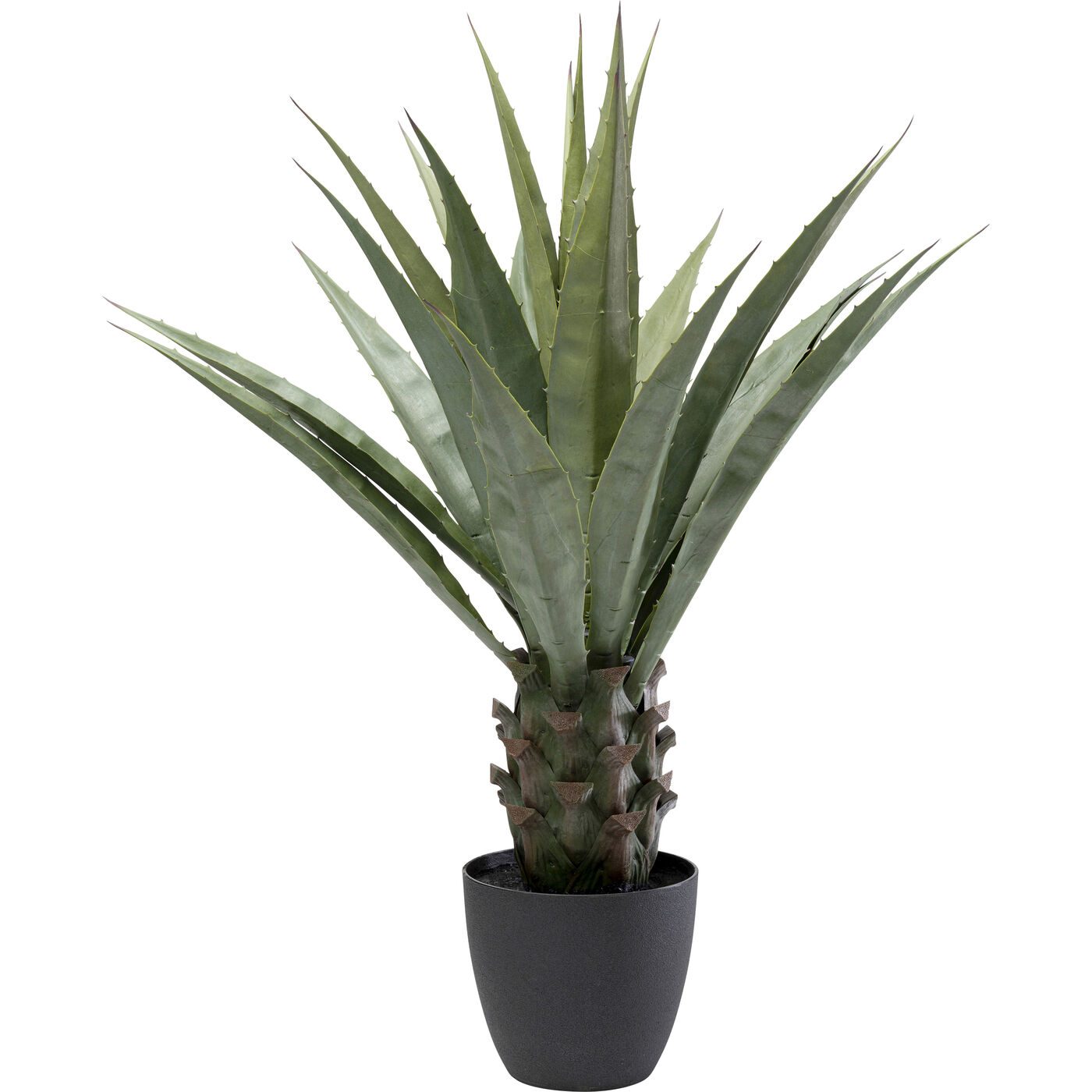 Растение декоративное Agave 85 см