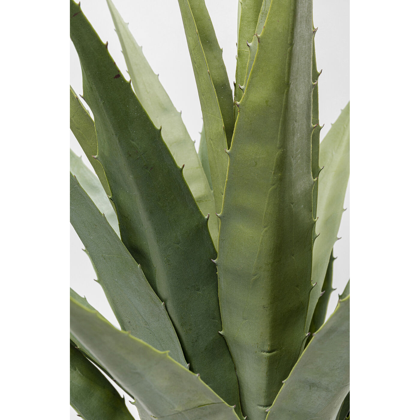 Растение декоративное Agave 85 см