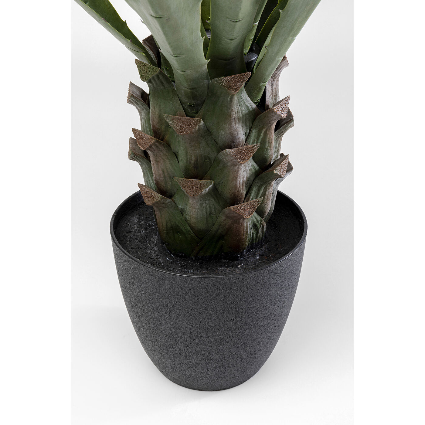 Растение декоративное Agave 85 см