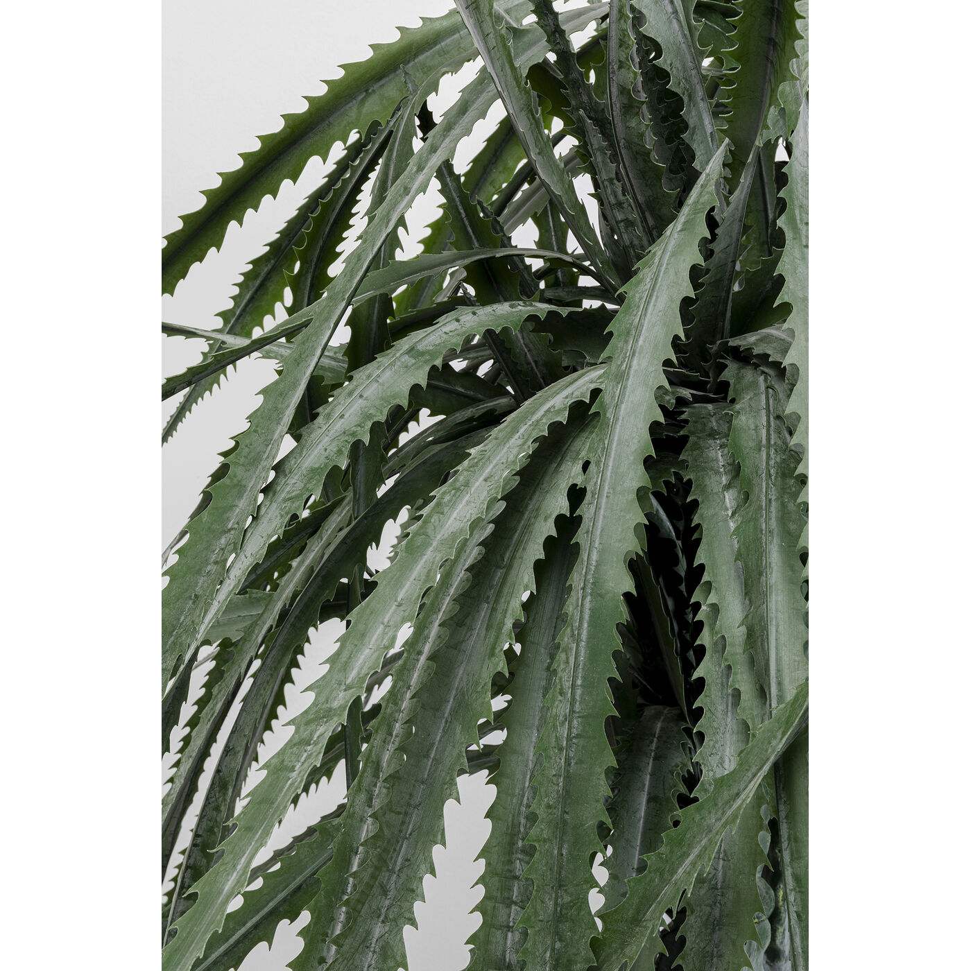 Растение декоративное Dragon Tree 155 см