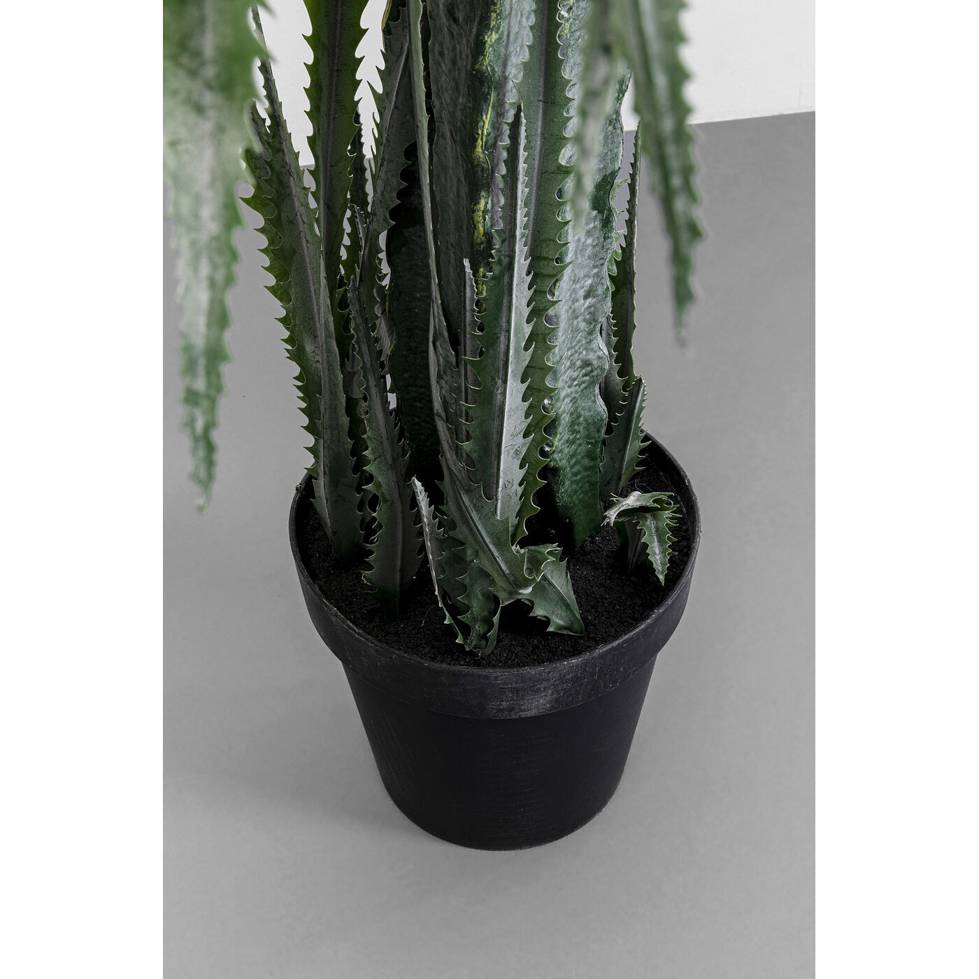 Растение декоративное Dragon Tree 155 см