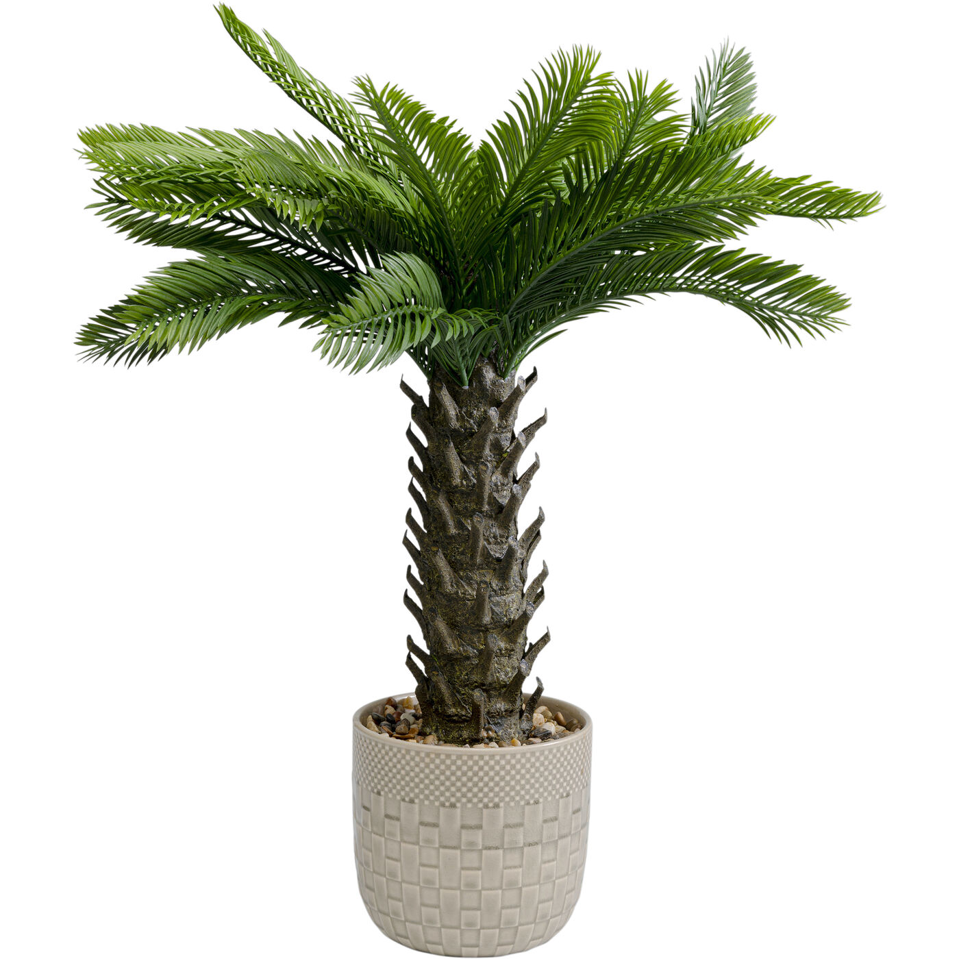 Растение декоративное Cycas 70 см