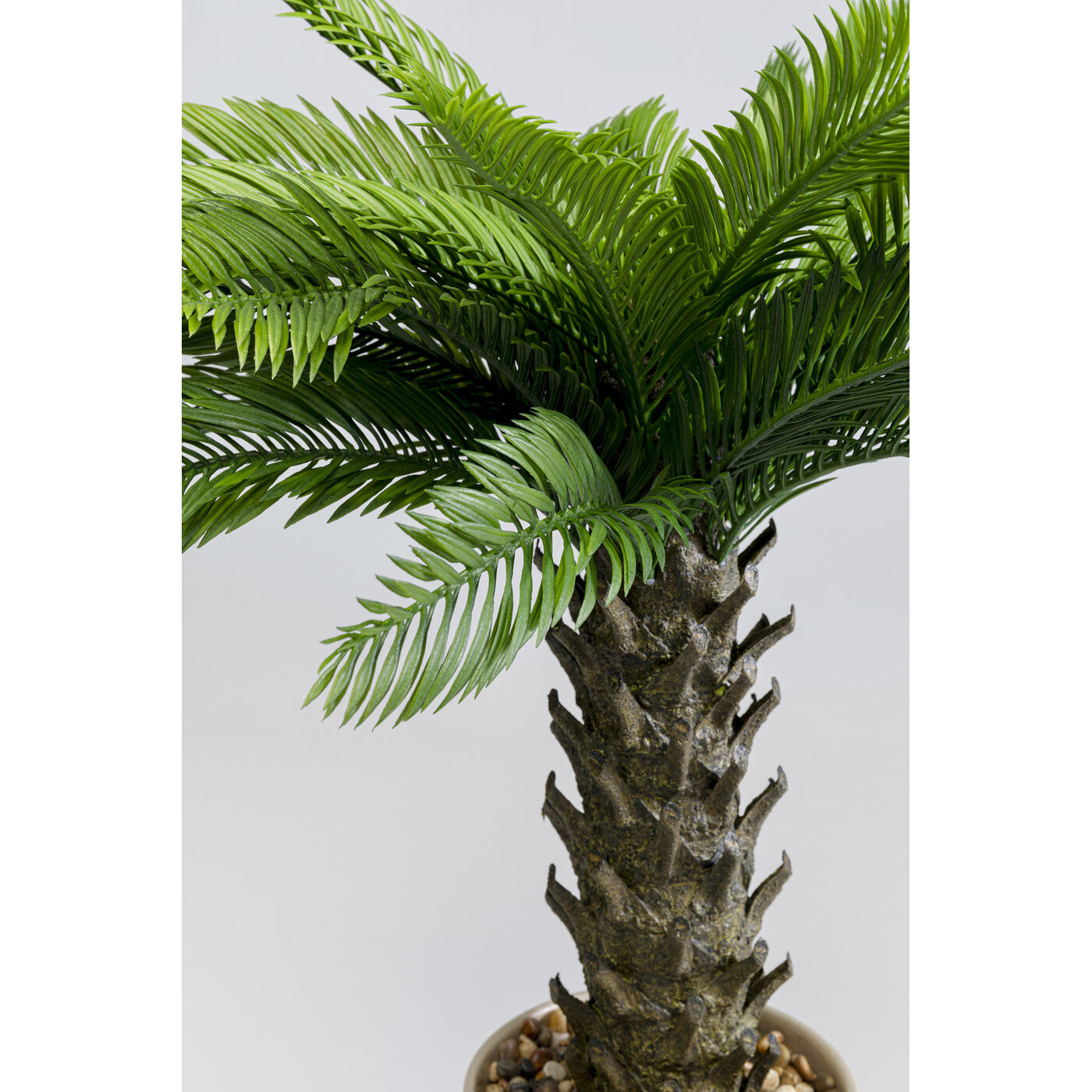 Растение декоративное Cycas 70 см
