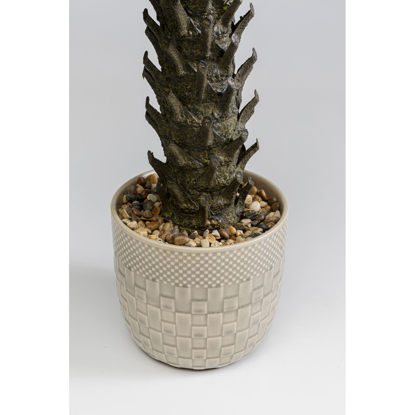Растение декоративное Cycas 70 см