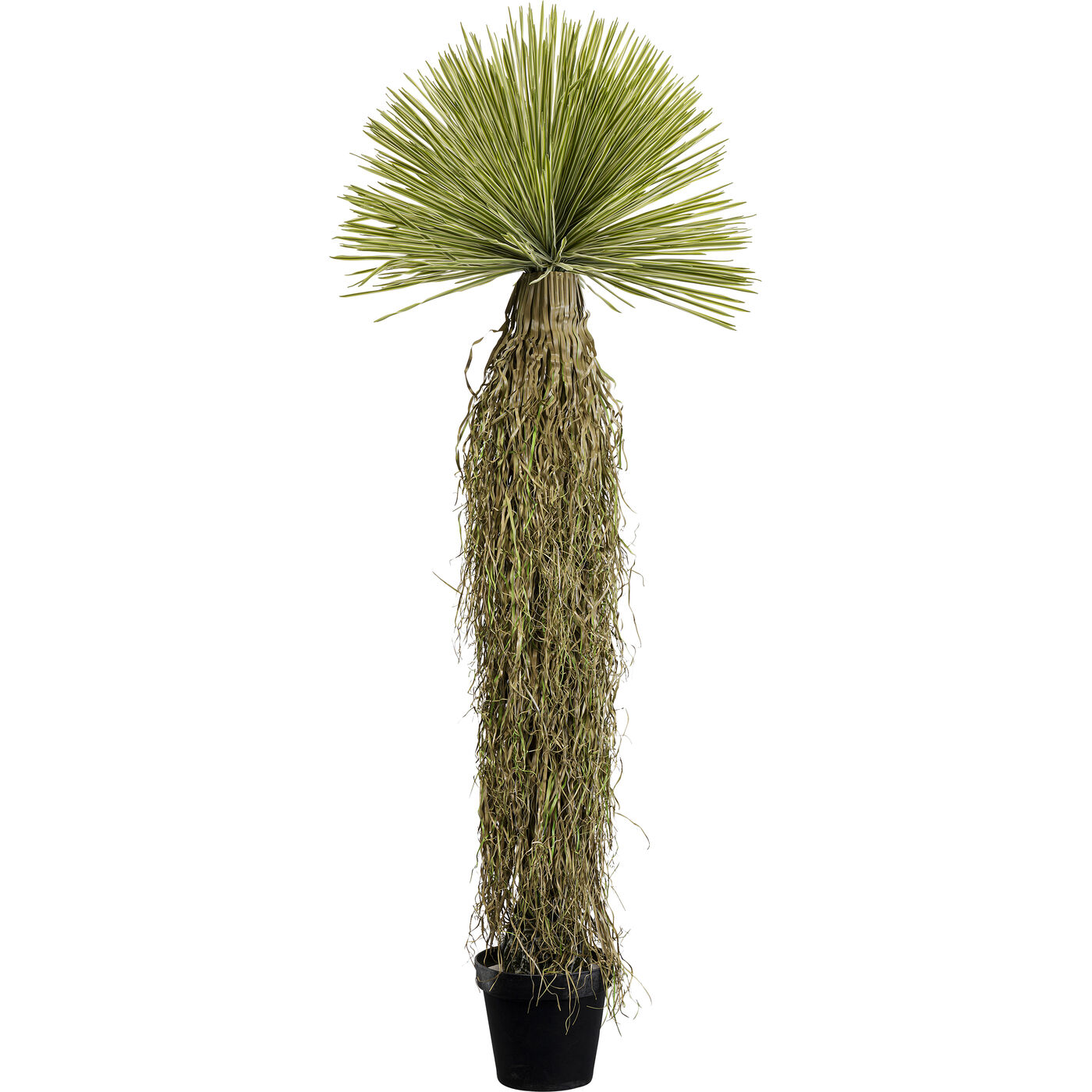 Растение декоративное Yucca 180 см