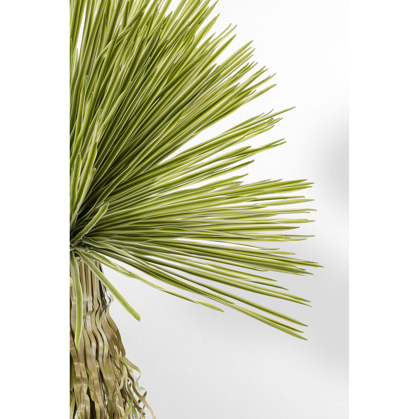 Растение декоративное Yucca 180 см