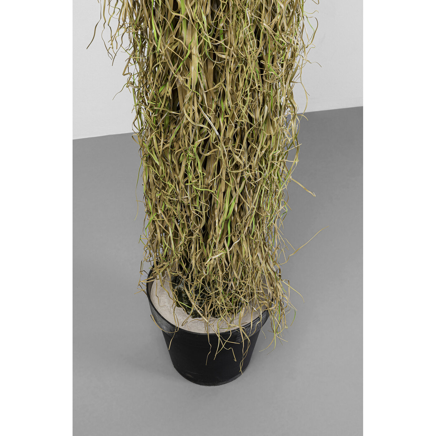 Растение декоративное Yucca 180 см