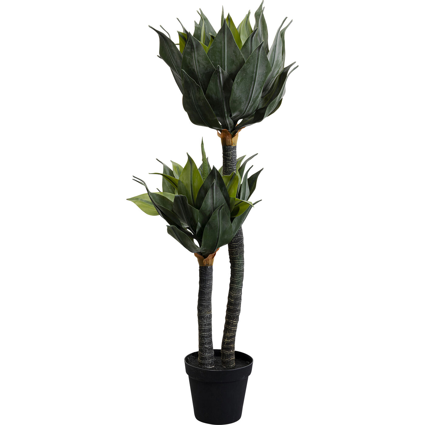 Растение декоративное Agave 120 см