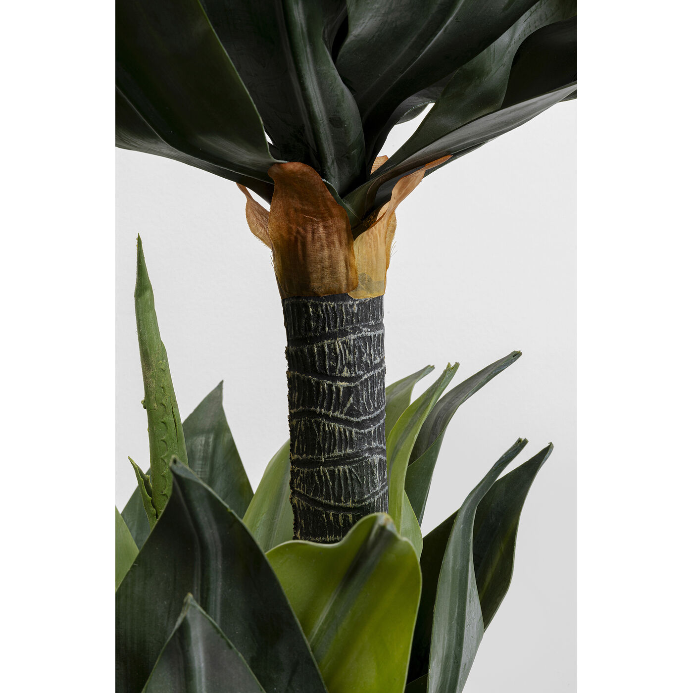 Растение декоративное Agave 120 см