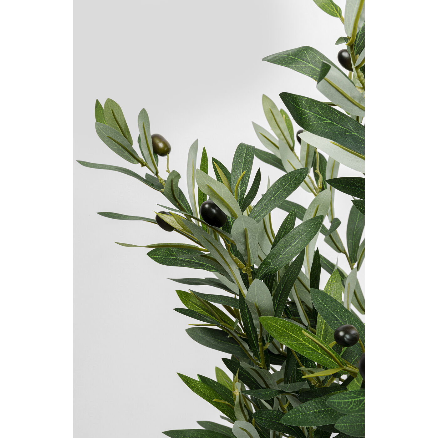 Растение декоративное Olive Tree 150 см