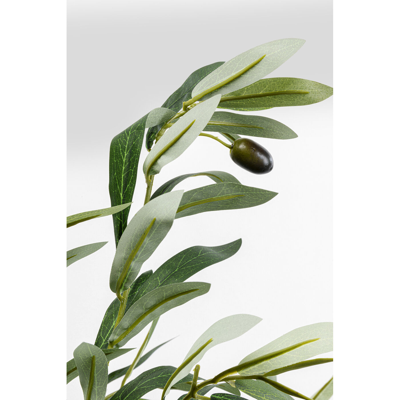 Растение декоративное Olive Tree 150 см