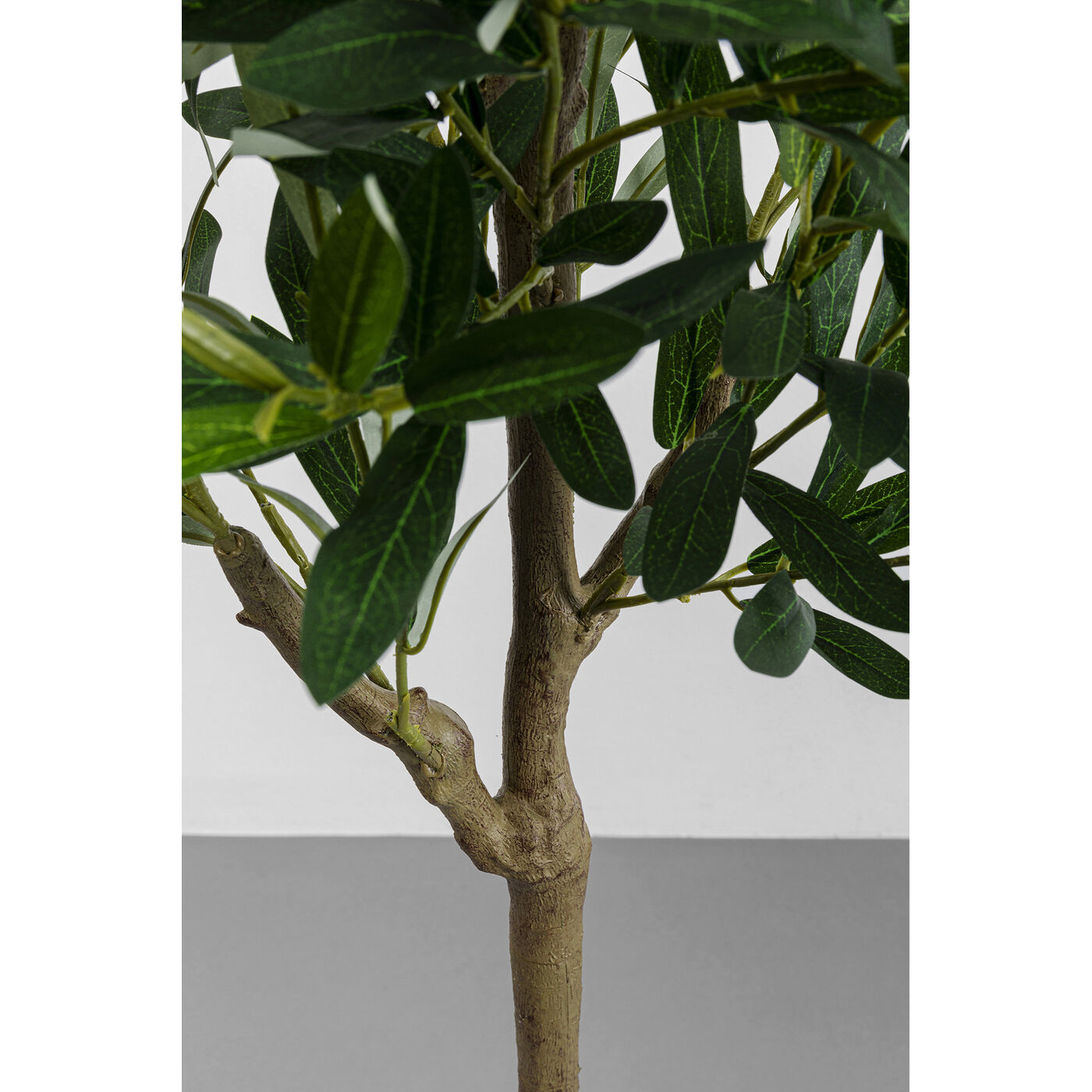 Растение декоративное Olive Tree 150 см