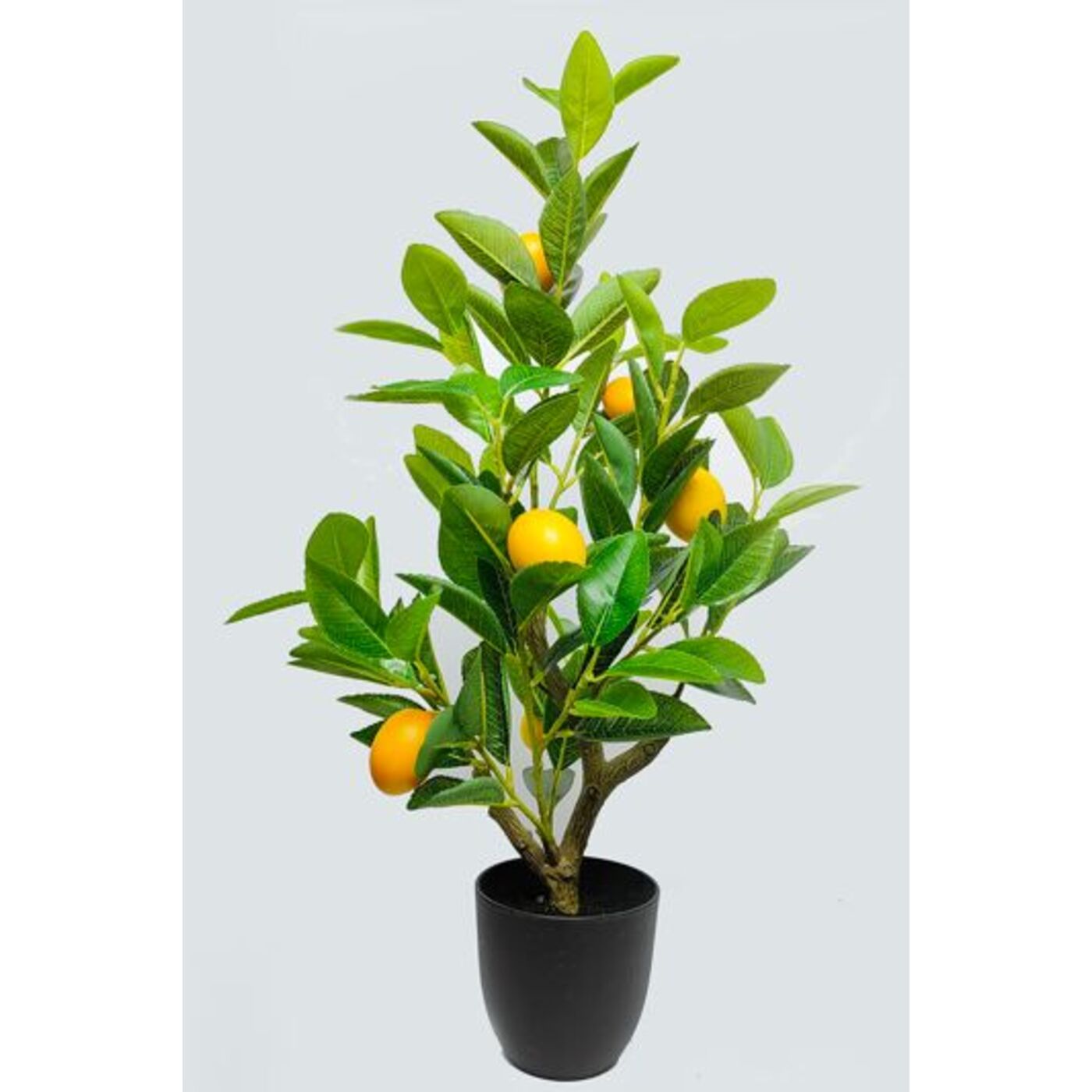 Растение декоративное Lemon Tree 60cm