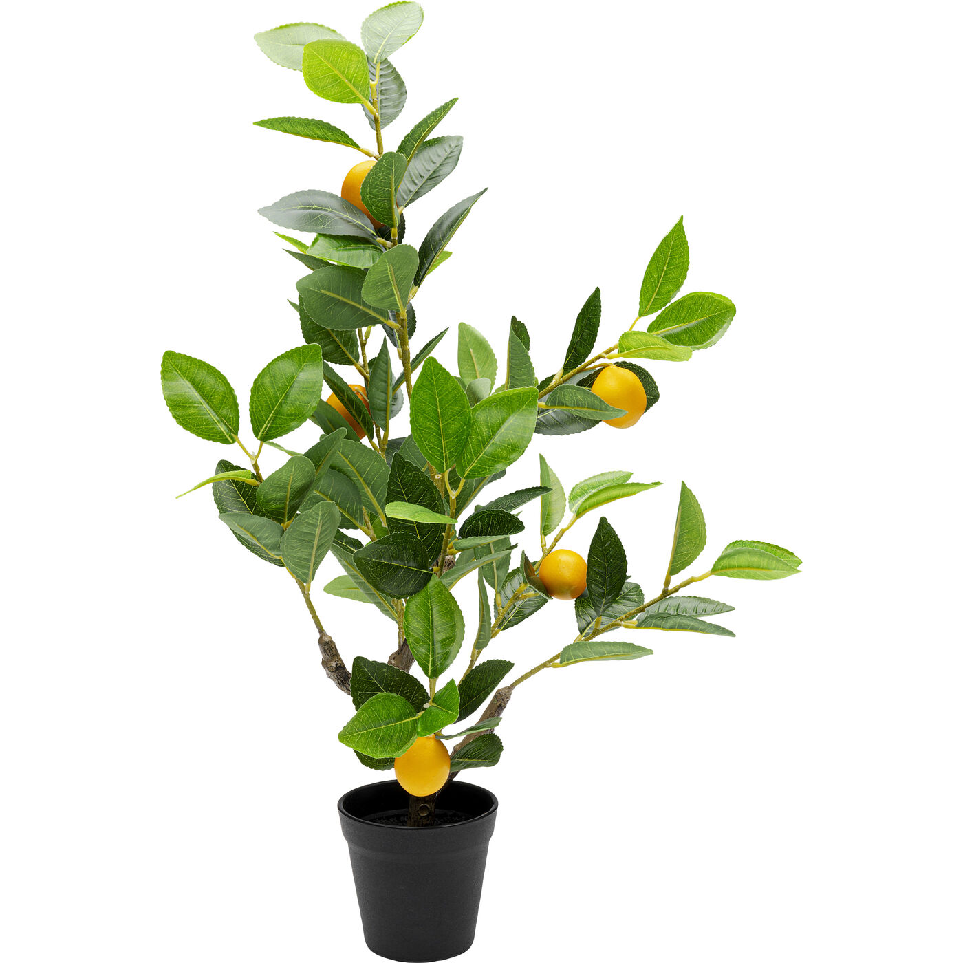 Растение декоративное Lemon Tree 60cm