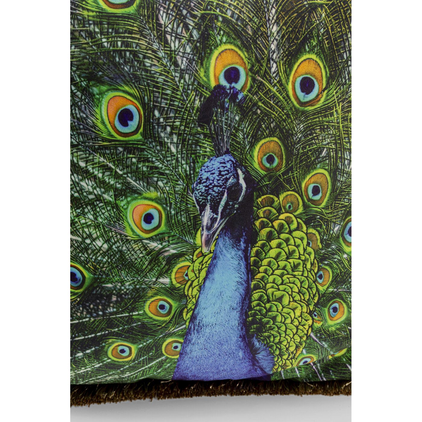 Подушка Peacock 45x45cm
