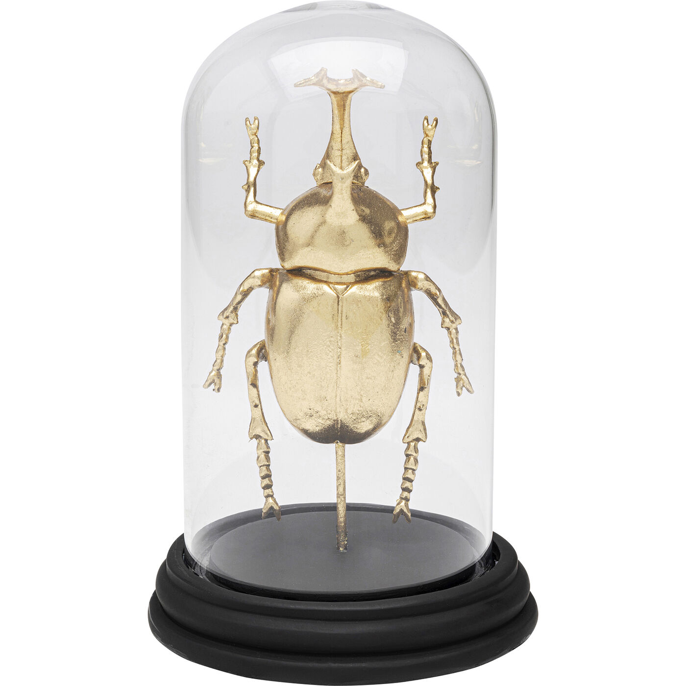 Объект декоративный Bell Jar Stag Beetle 20cm