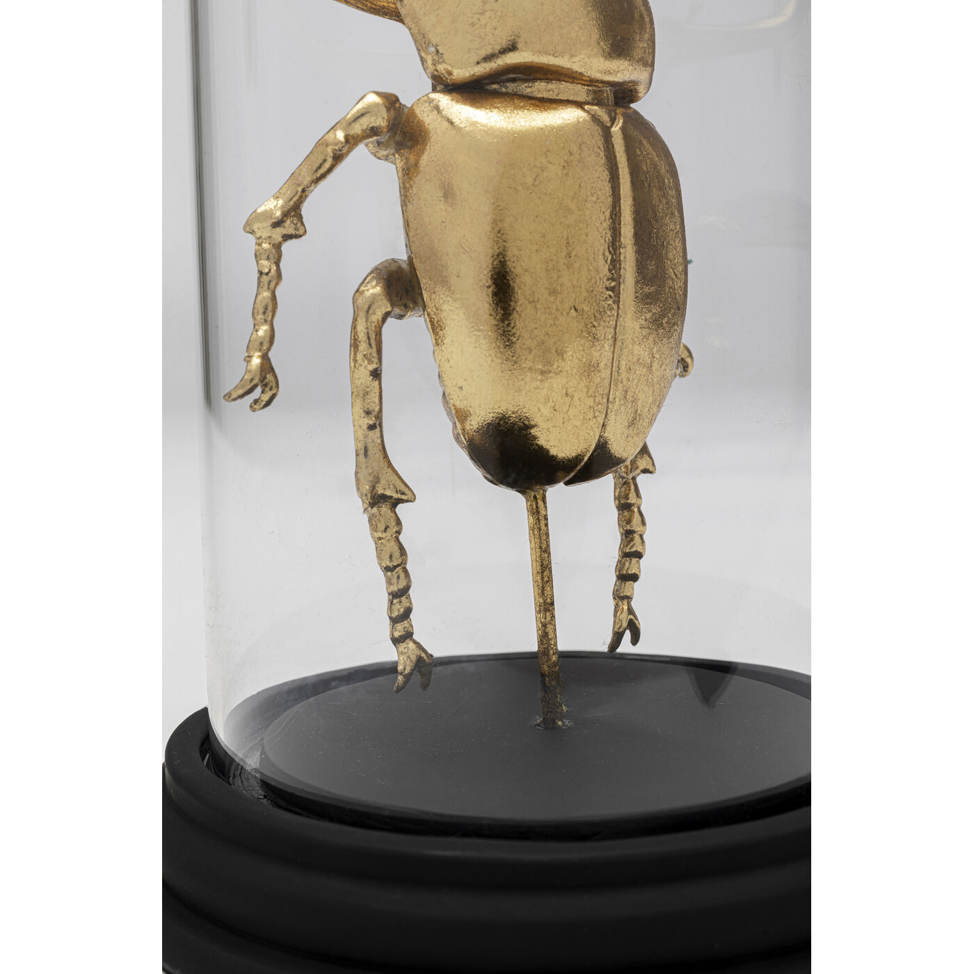 Объект декоративный Bell Jar Stag Beetle 20cm