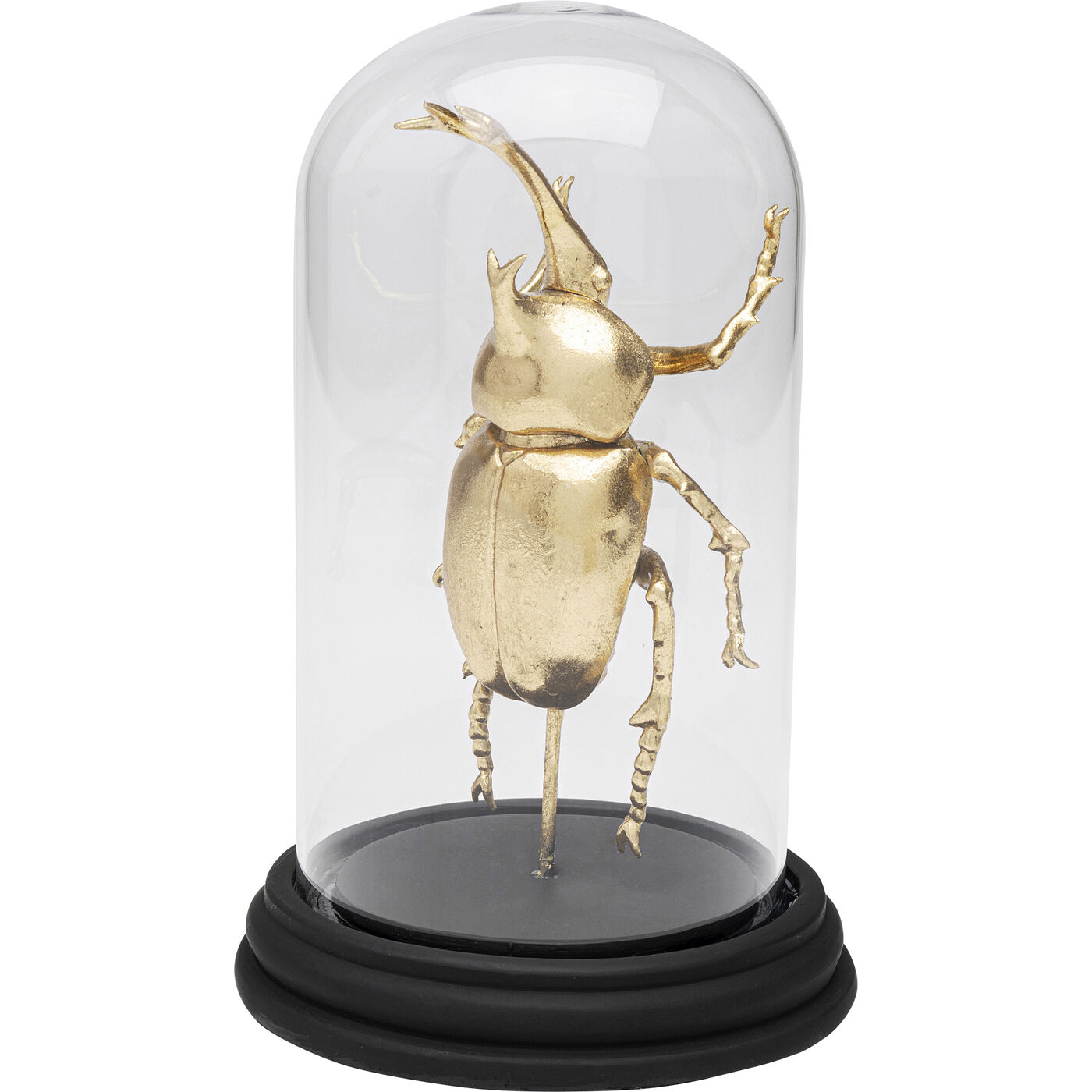 Объект декоративный Bell Jar Stag Beetle 20cm