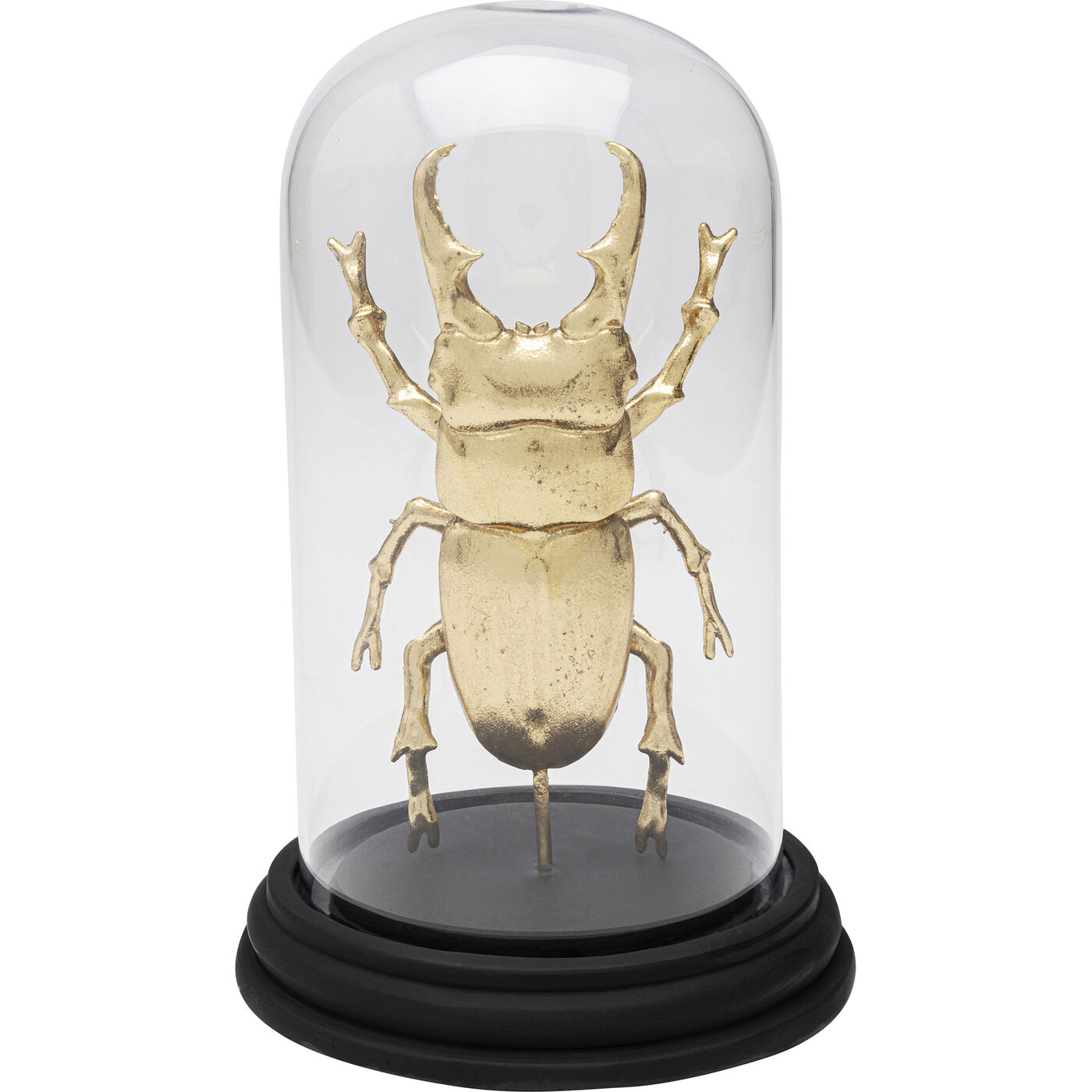 Объект декоративный Bell Jar Hercules Beetle 20cm