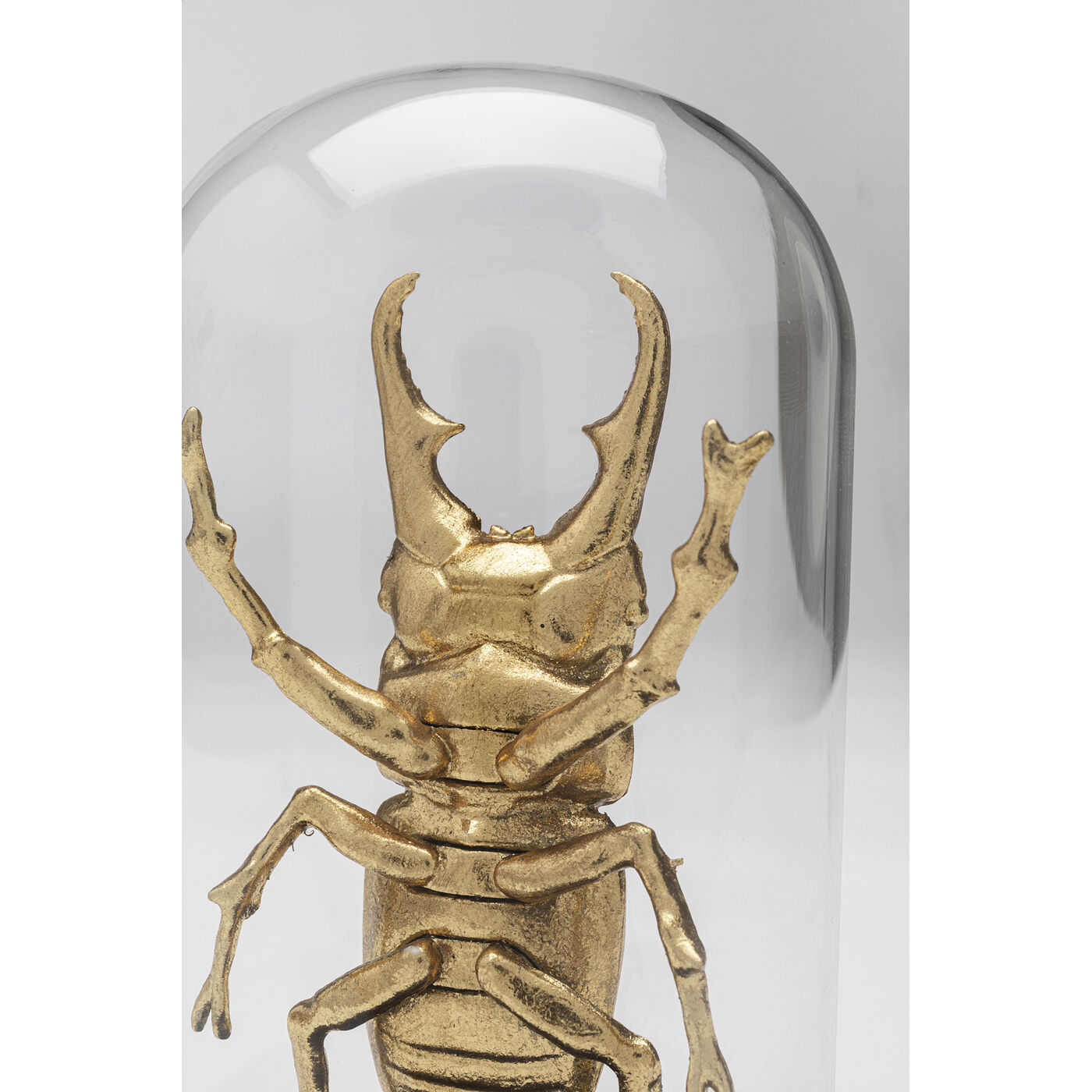 Объект декоративный Bell Jar Hercules Beetle 20cm