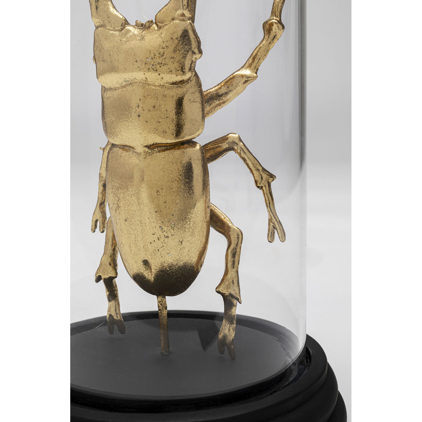 Объект декоративный Bell Jar Hercules Beetle 20cm