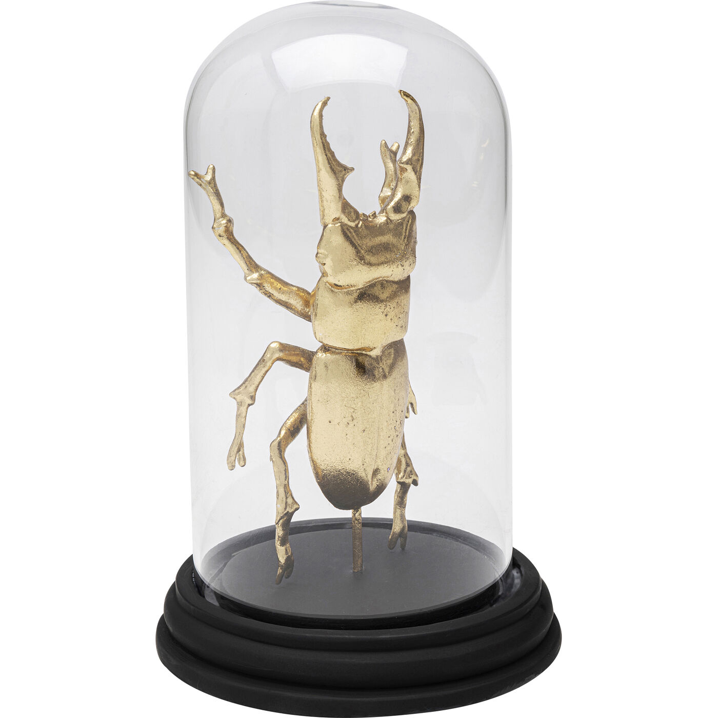 Объект декоративный Bell Jar Hercules Beetle 20cm