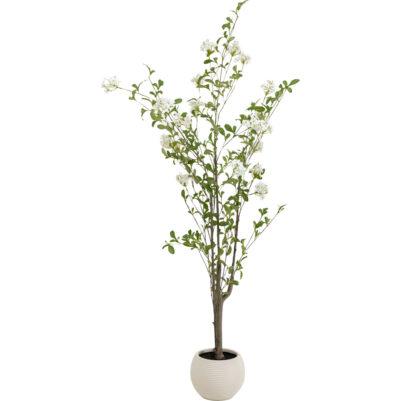 Растение декоративное PlumСумкаo Tree 152cm