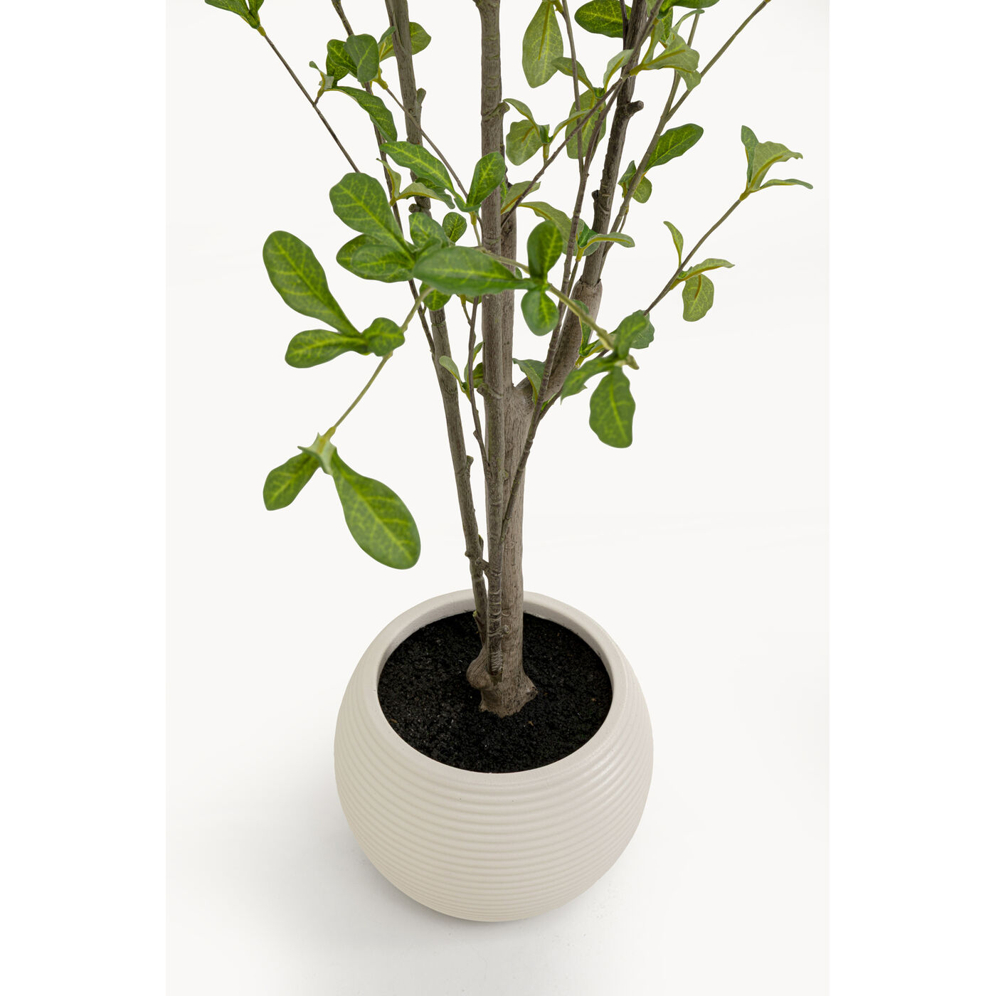 Растение декоративное PlumСумкаo Tree 152cm
