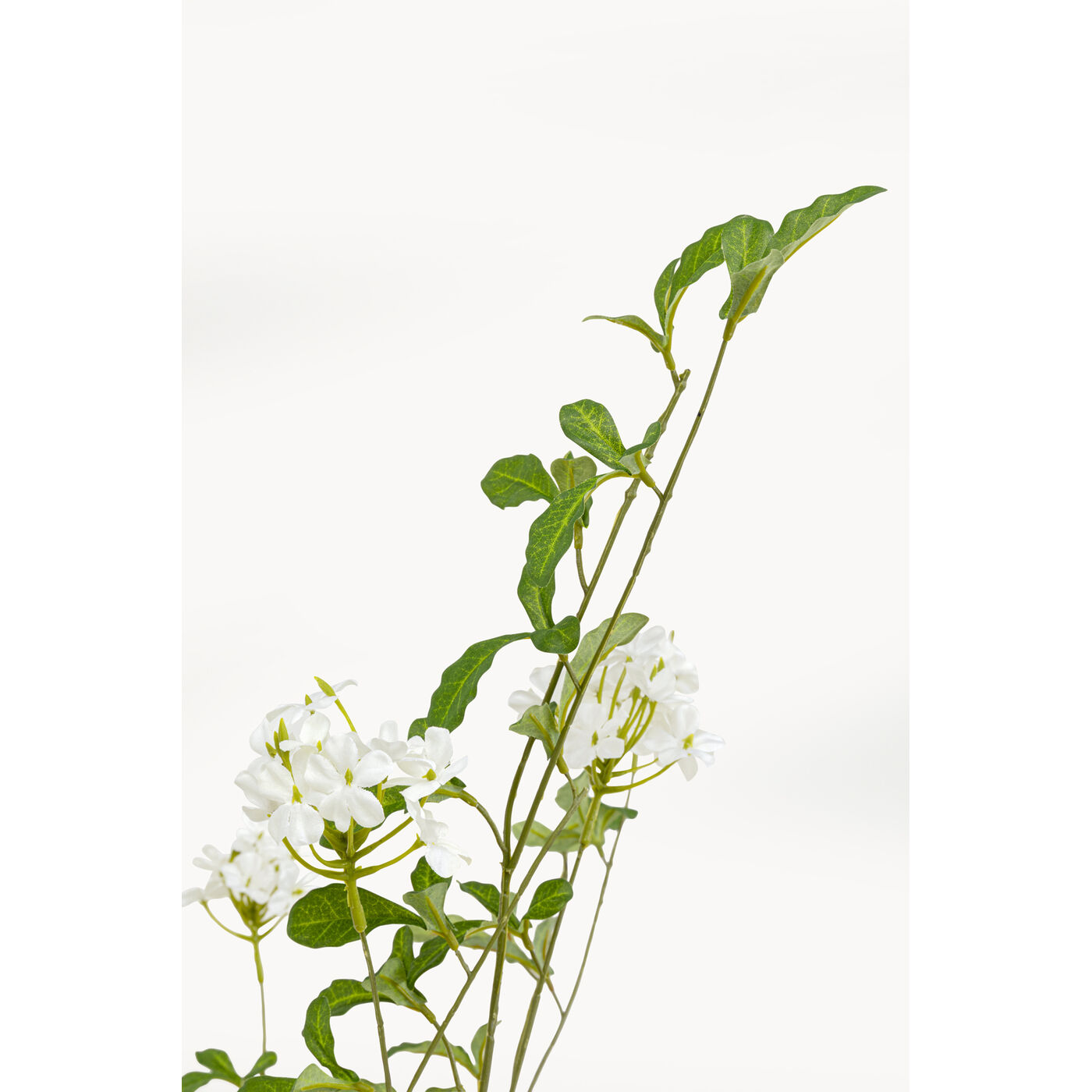 Растение декоративное PlumСумкаo Tree 152cm
