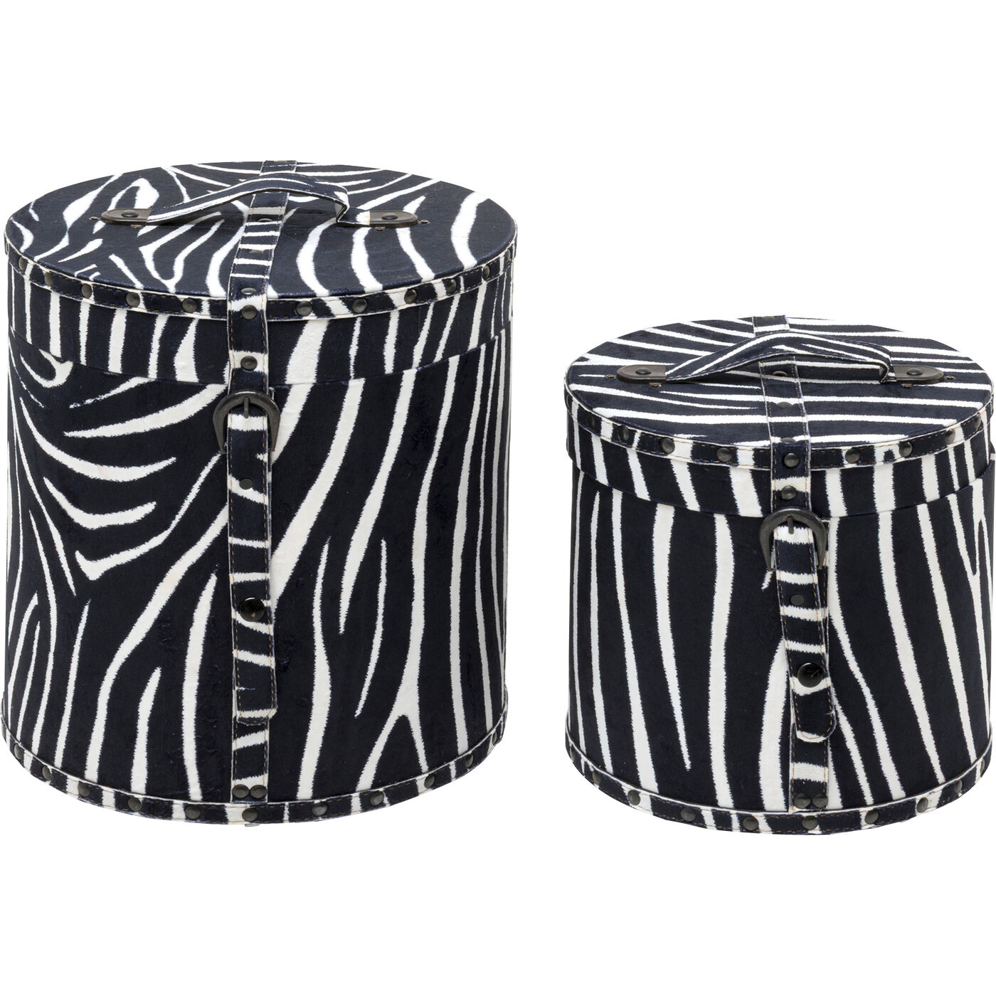 Бокс для хранения Wild Animal Zebra (2/Set)