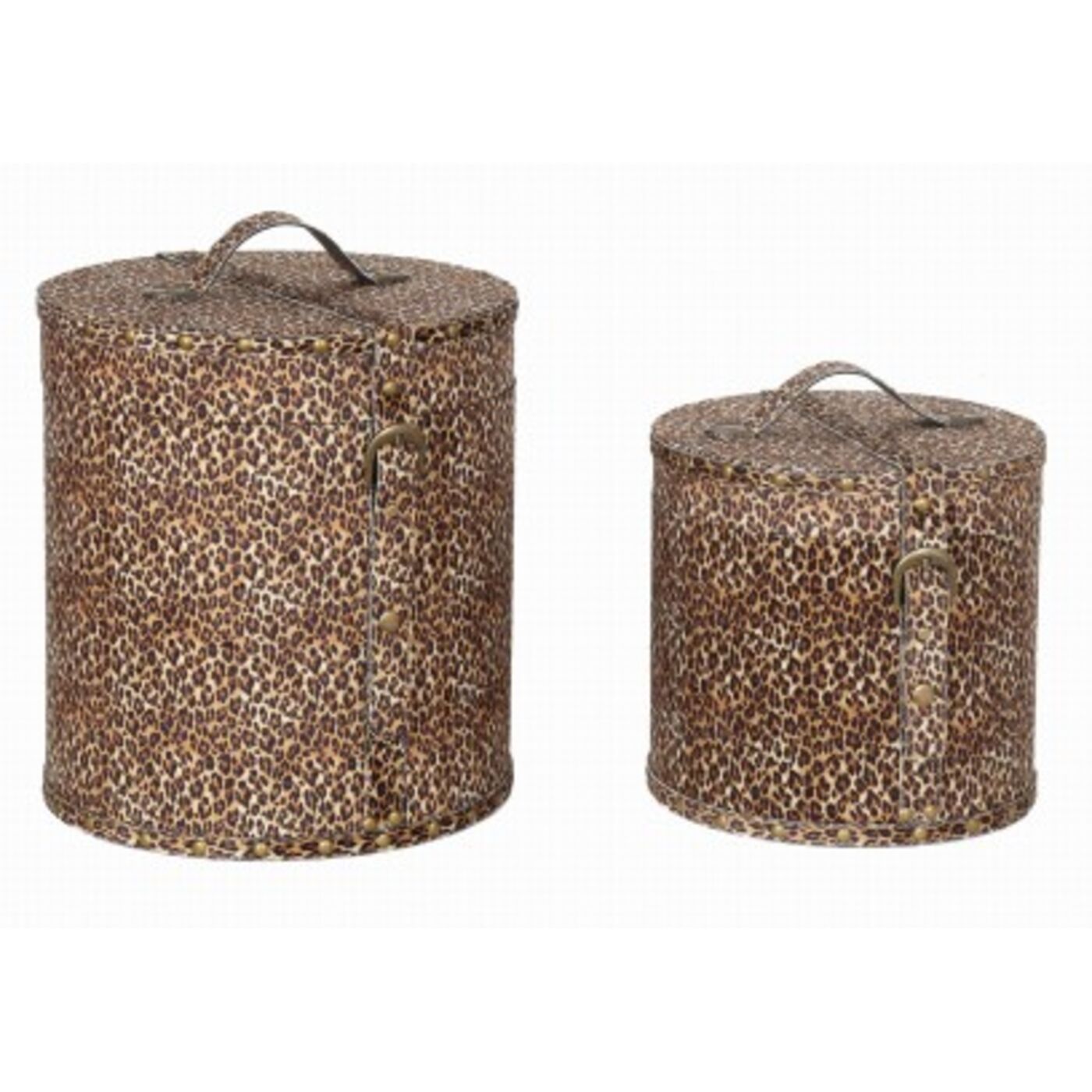 Бокс для хранения Wild Animal Leo (2/Set)