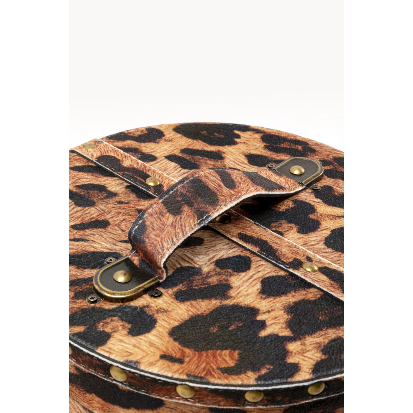 Бокс для хранения Wild Animal Leo (2/Set)