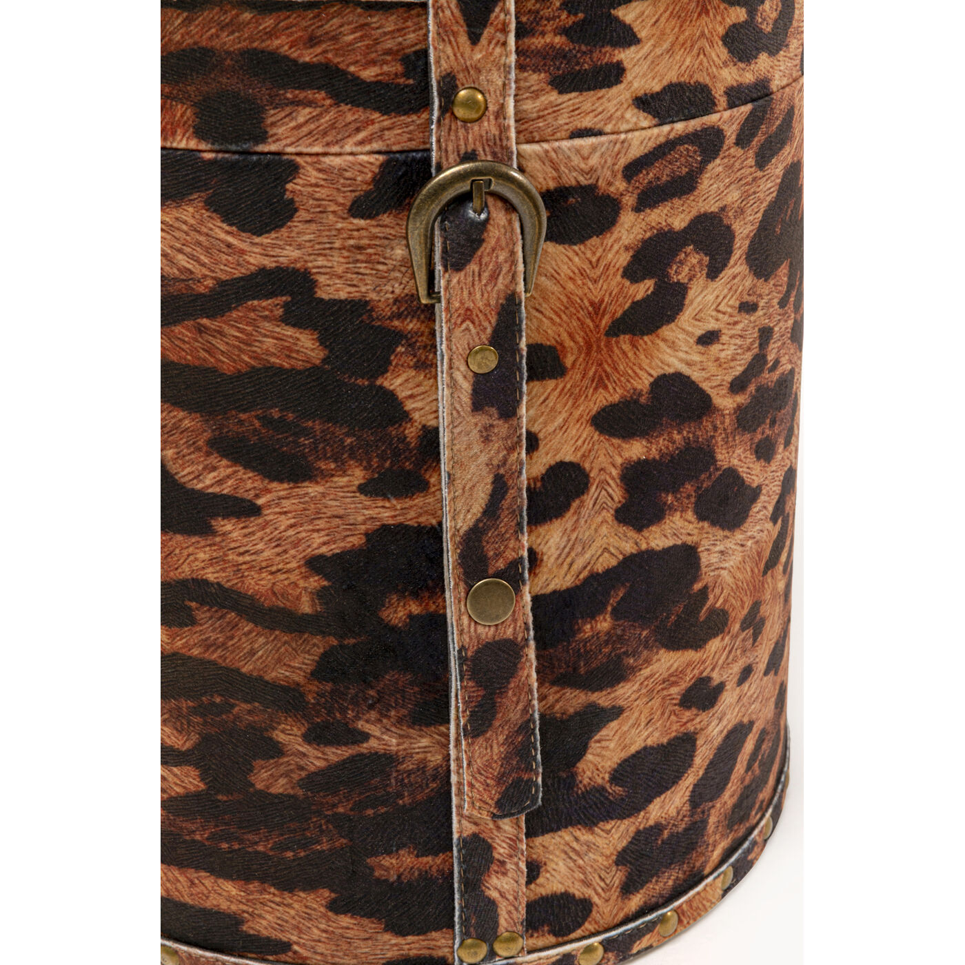Бокс для хранения Wild Animal Leo (2/Set)