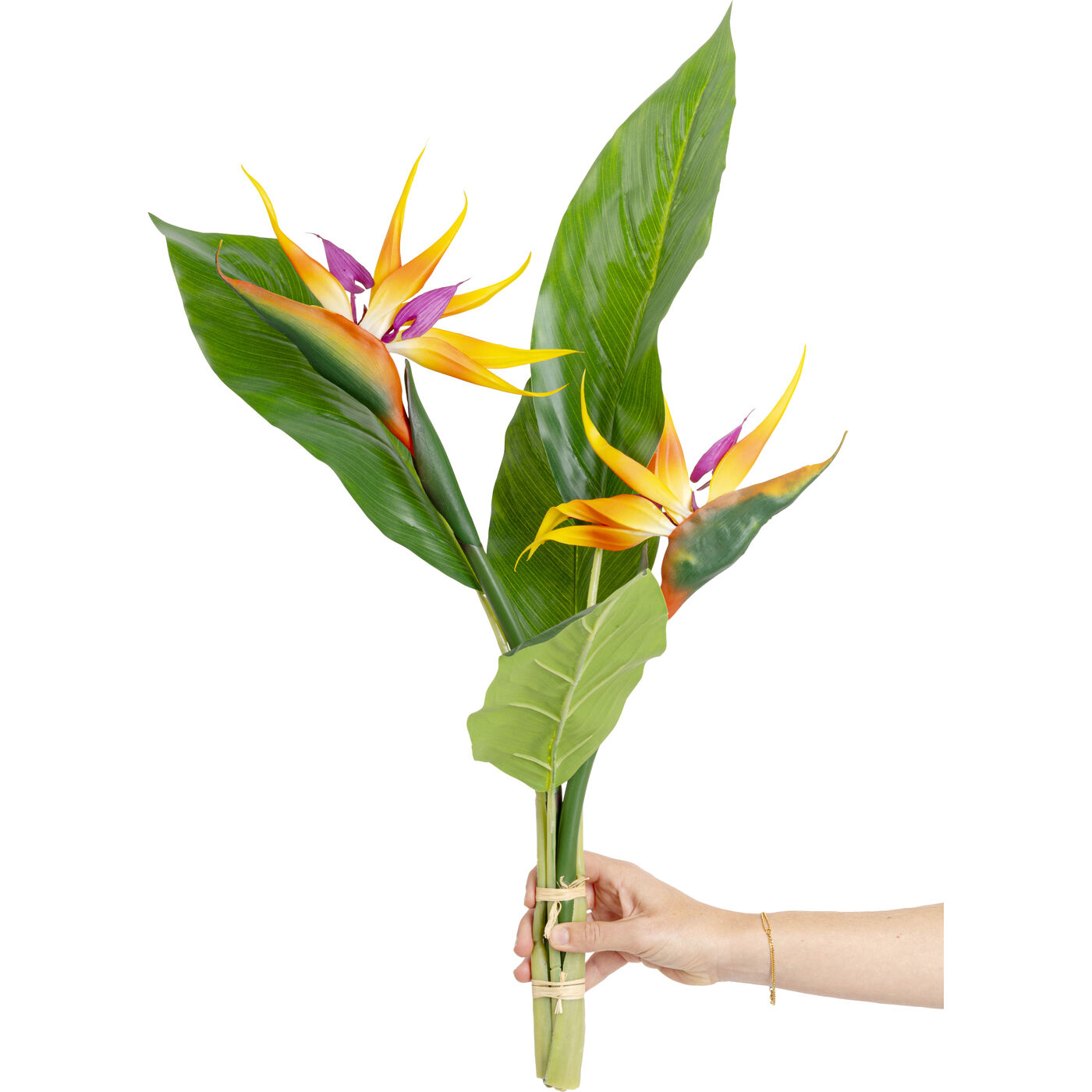 Растение декоративное Paradise Bird 70cm