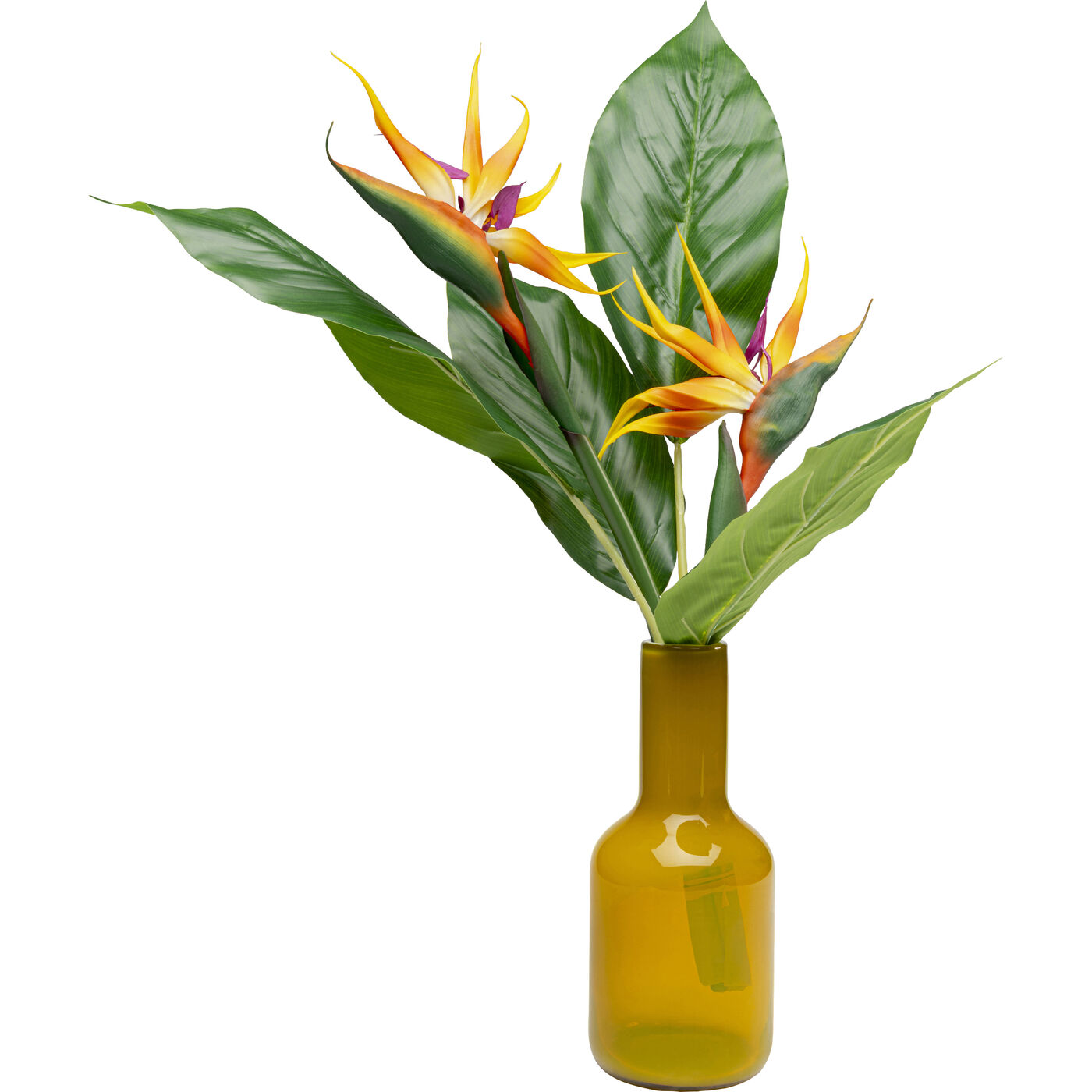 Растение декоративное Paradise Bird 70cm